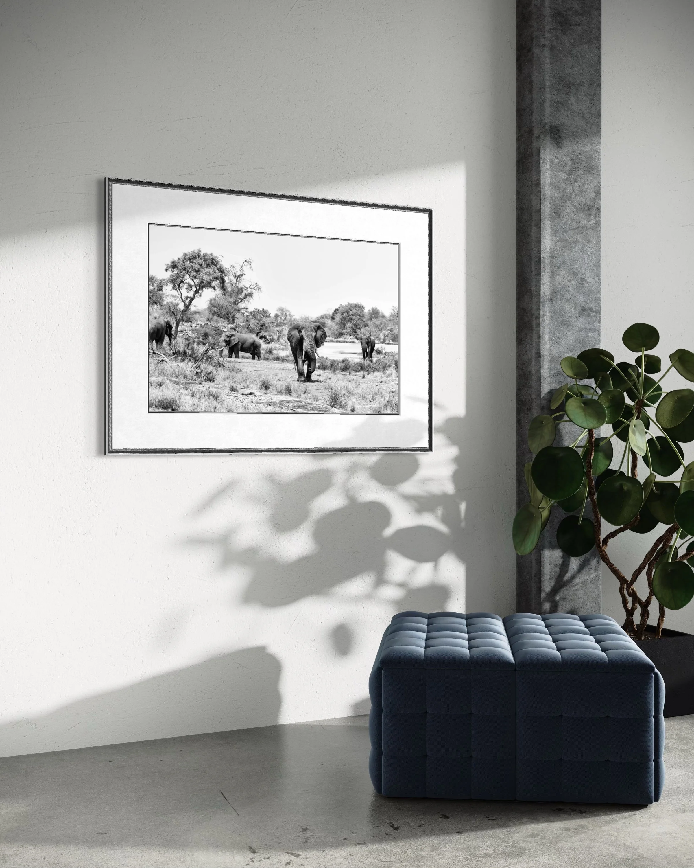 oasis-framed-6.jpg