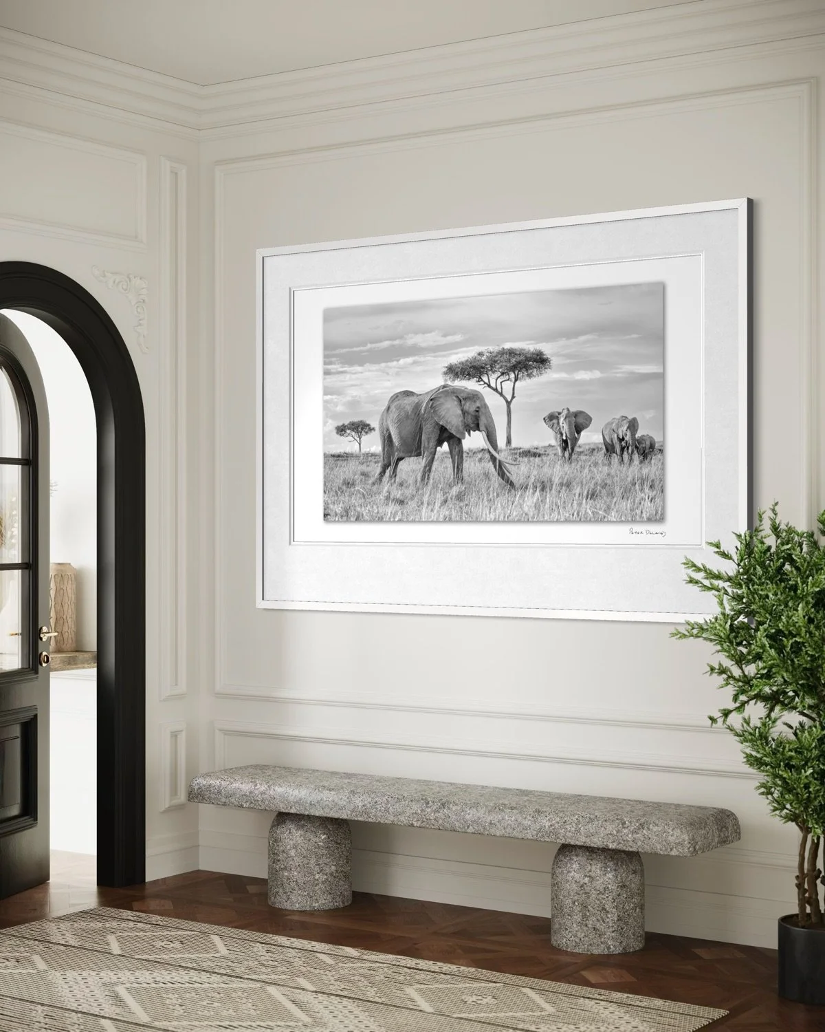 queen of the mara.jpg