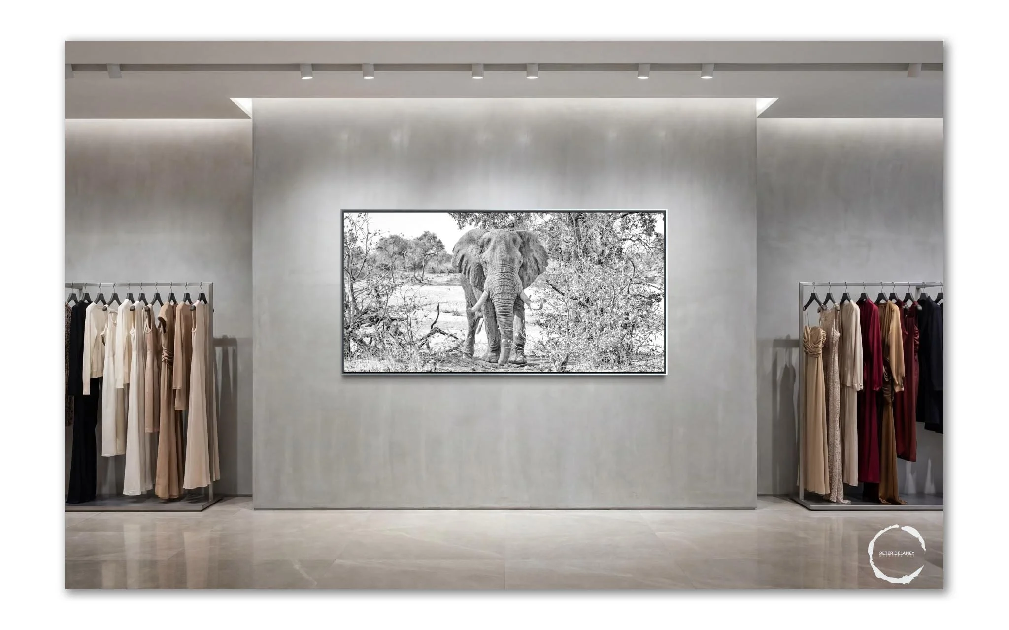 Clothing store with racks of dresses on either side and a black-and-white photo of an elephant hanging on the wall between them.