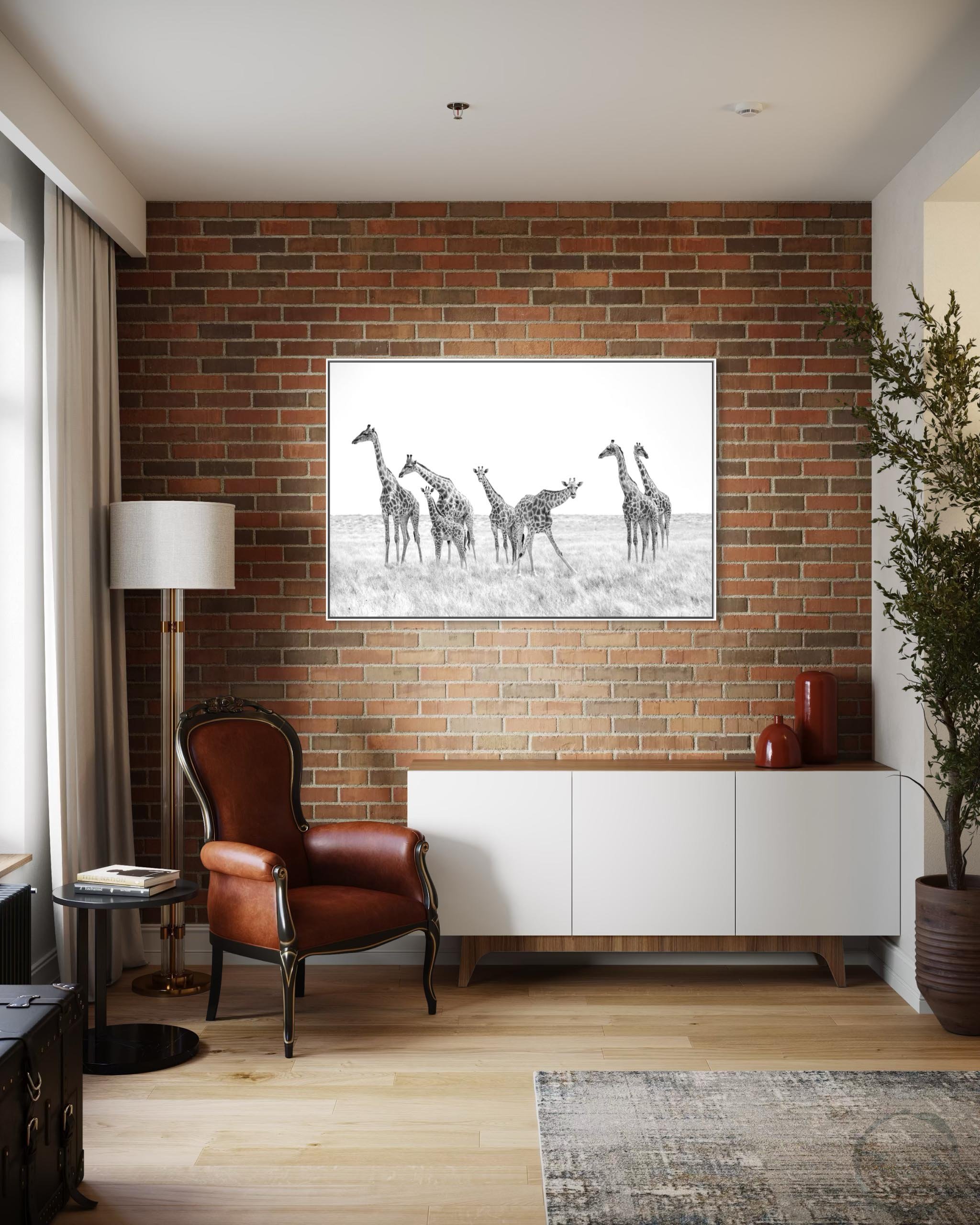 Giraffe stop stare 4.jpg