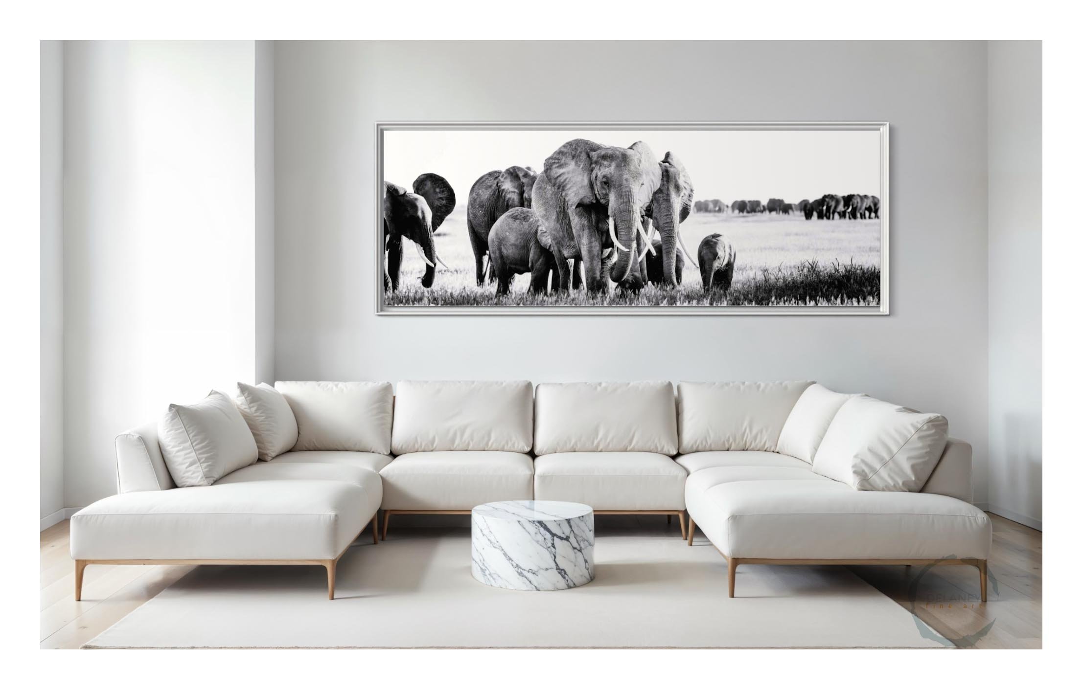 parade-elephants1.jpg