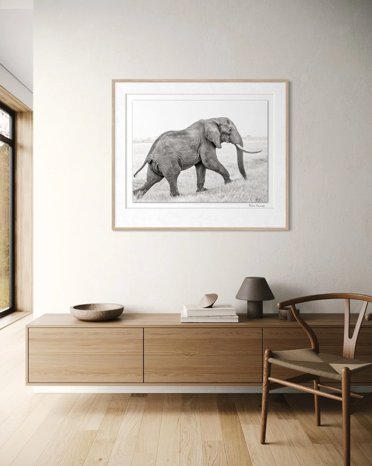 young tusker-4.jpg