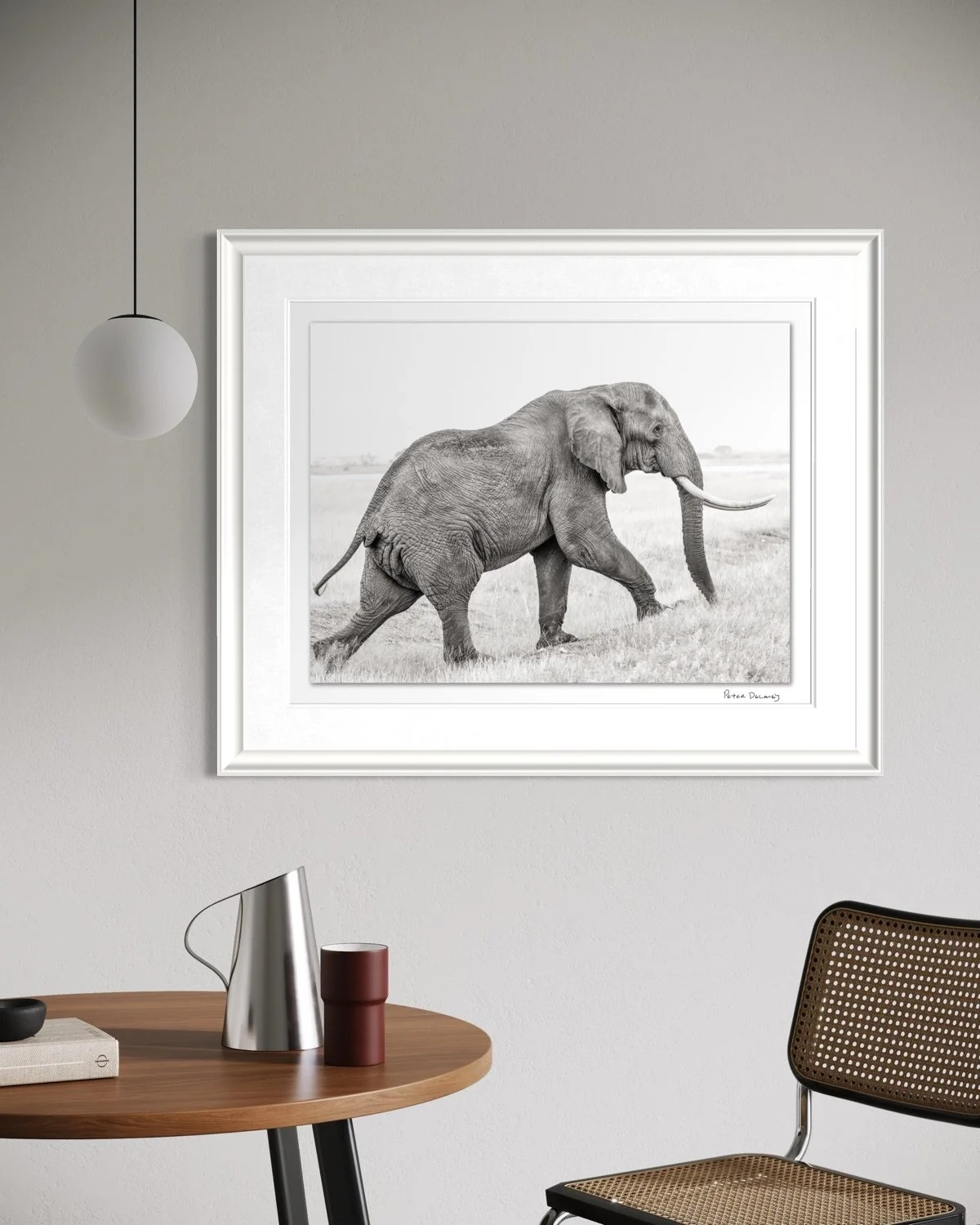 young tusker-2.jpg