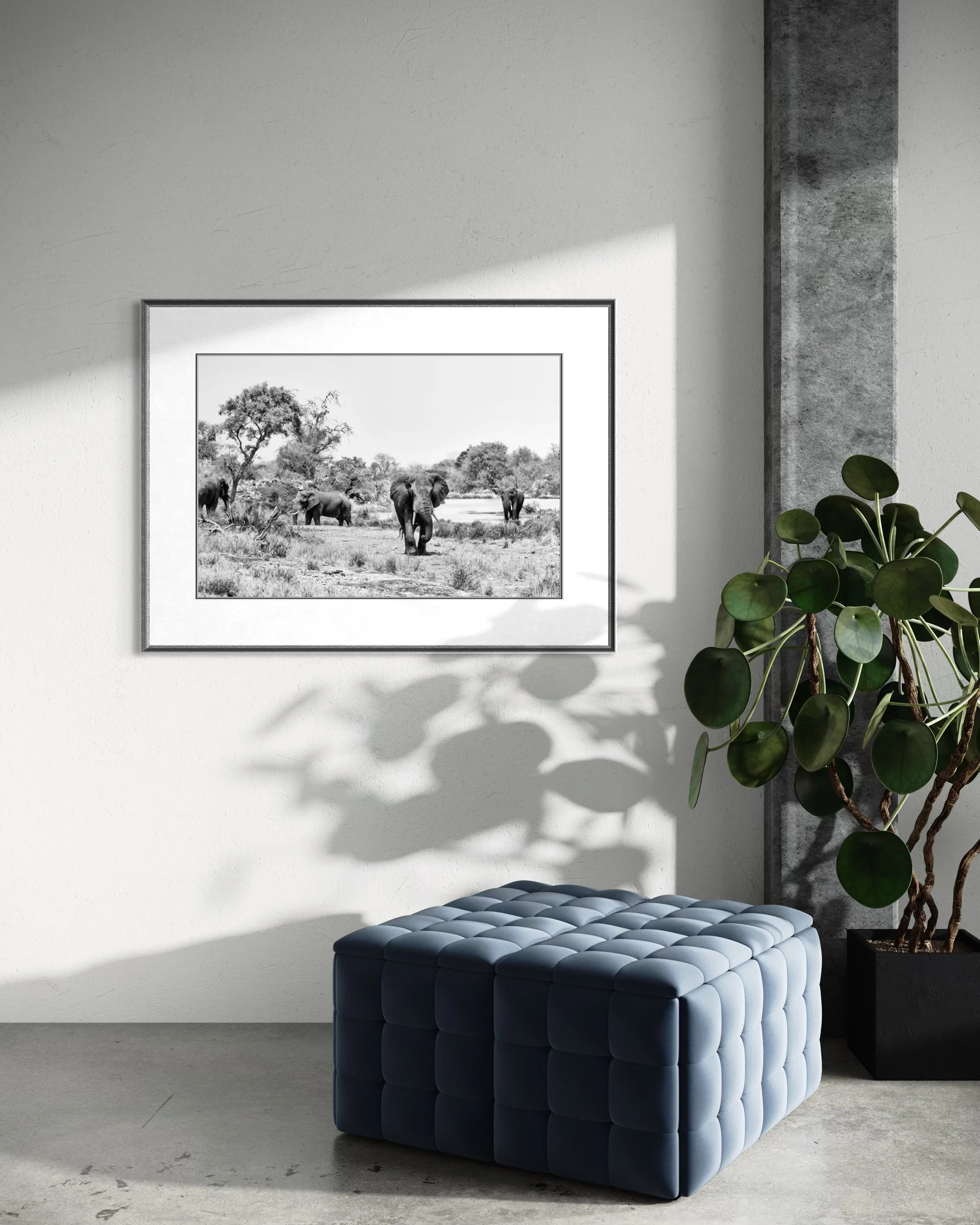 oasis-framed-5.jpg