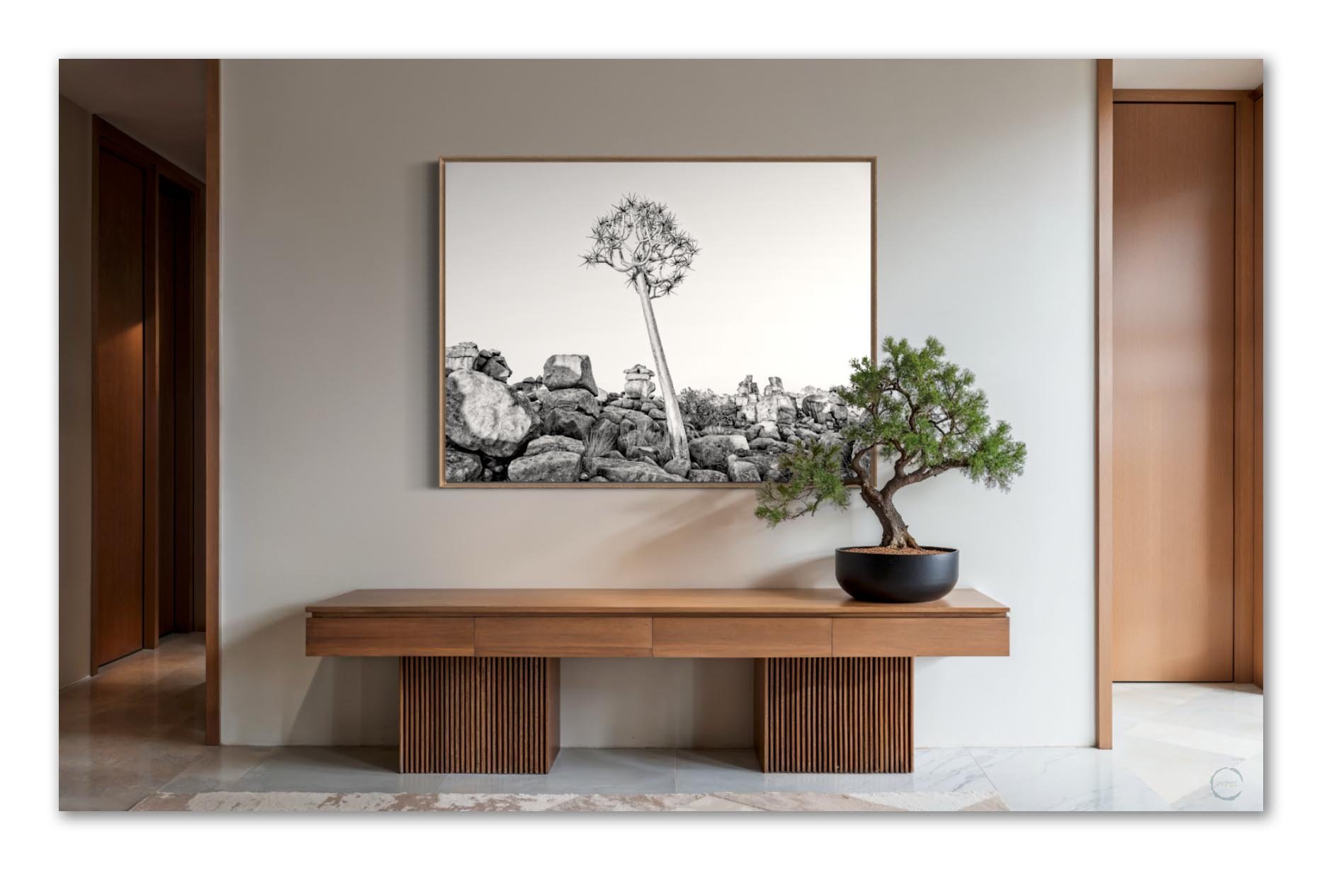 quiver tree-20256.jpg