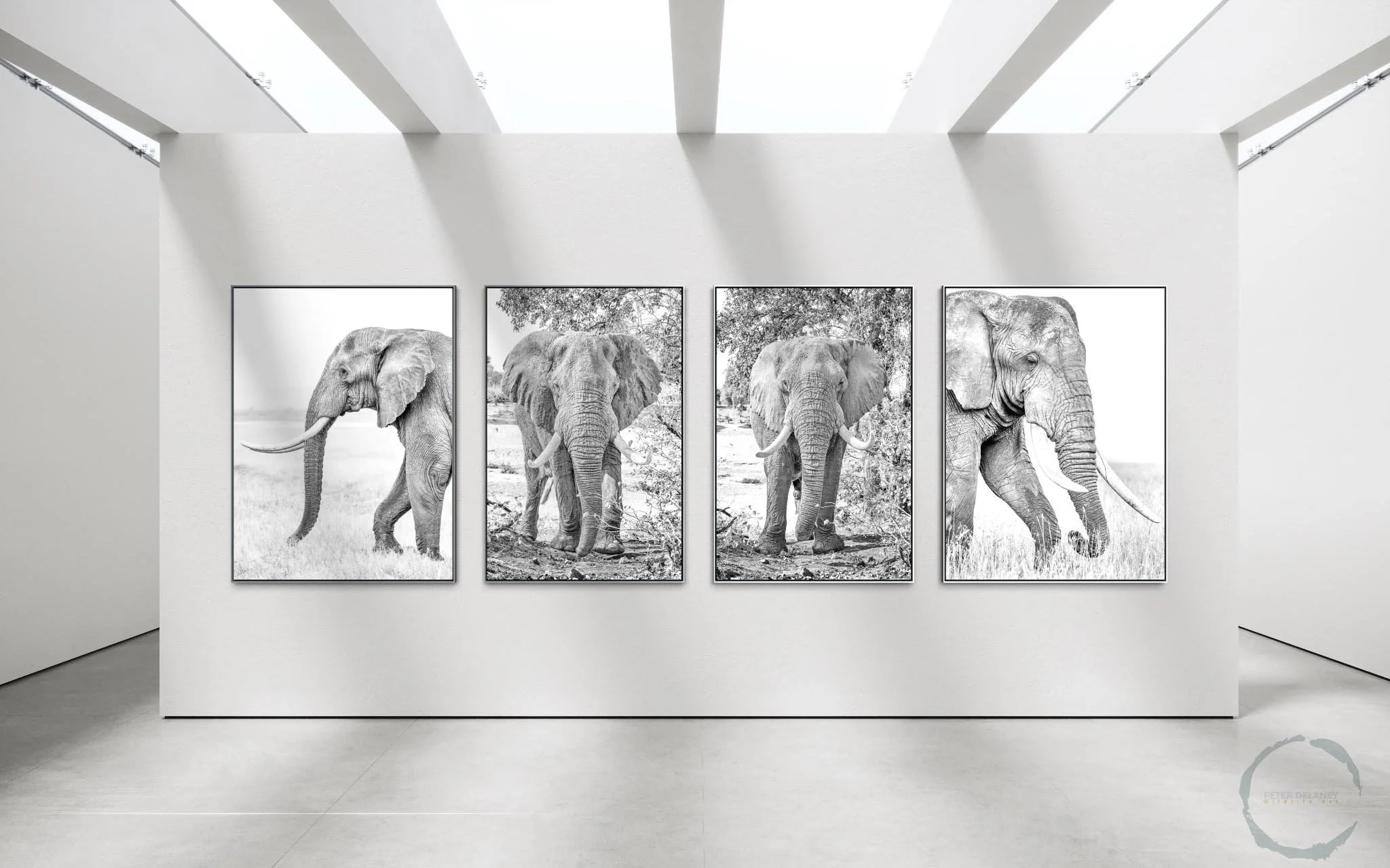 tuskers-portraits-4.jpg