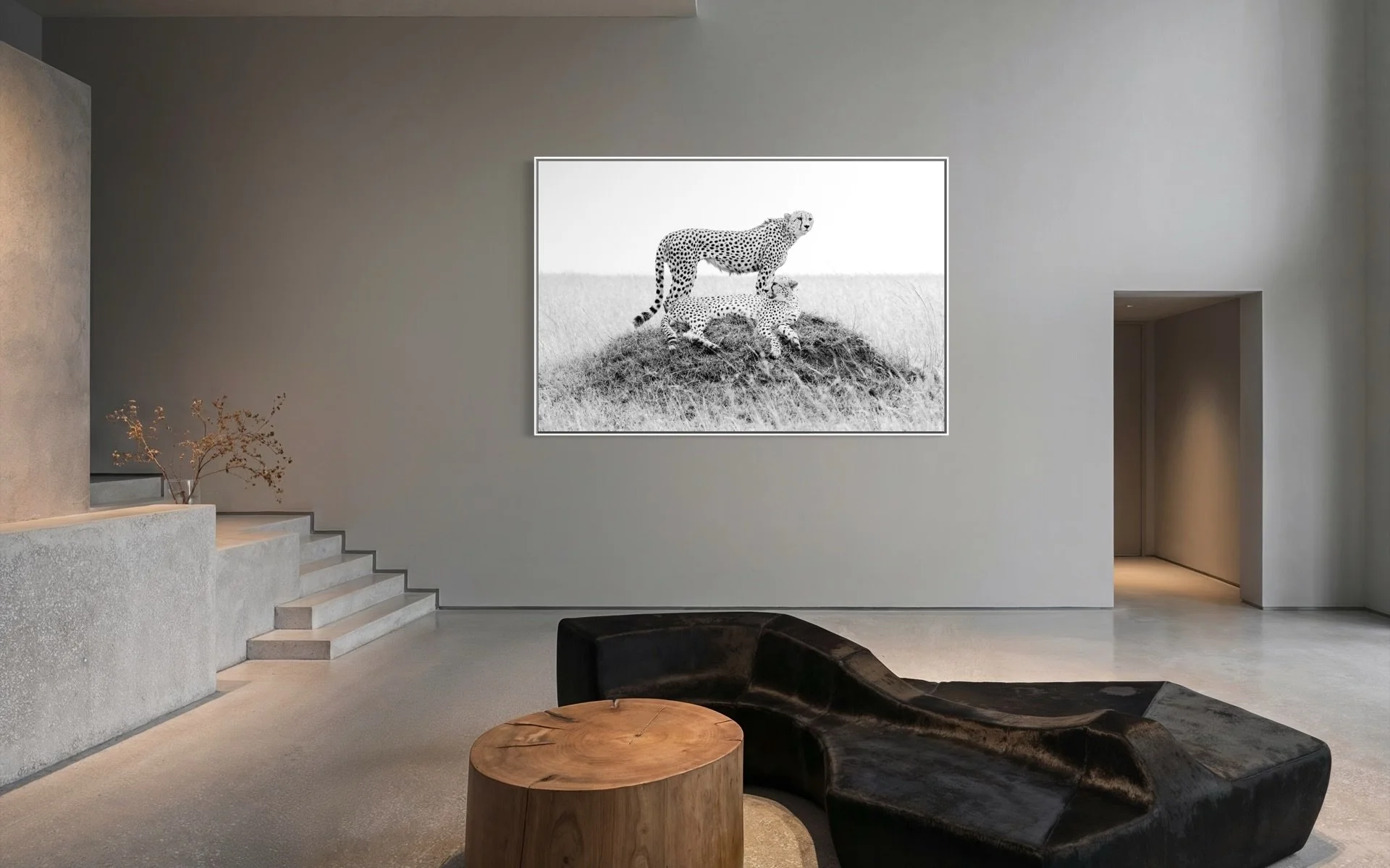 cheetah-255cm x 160cm.jpg