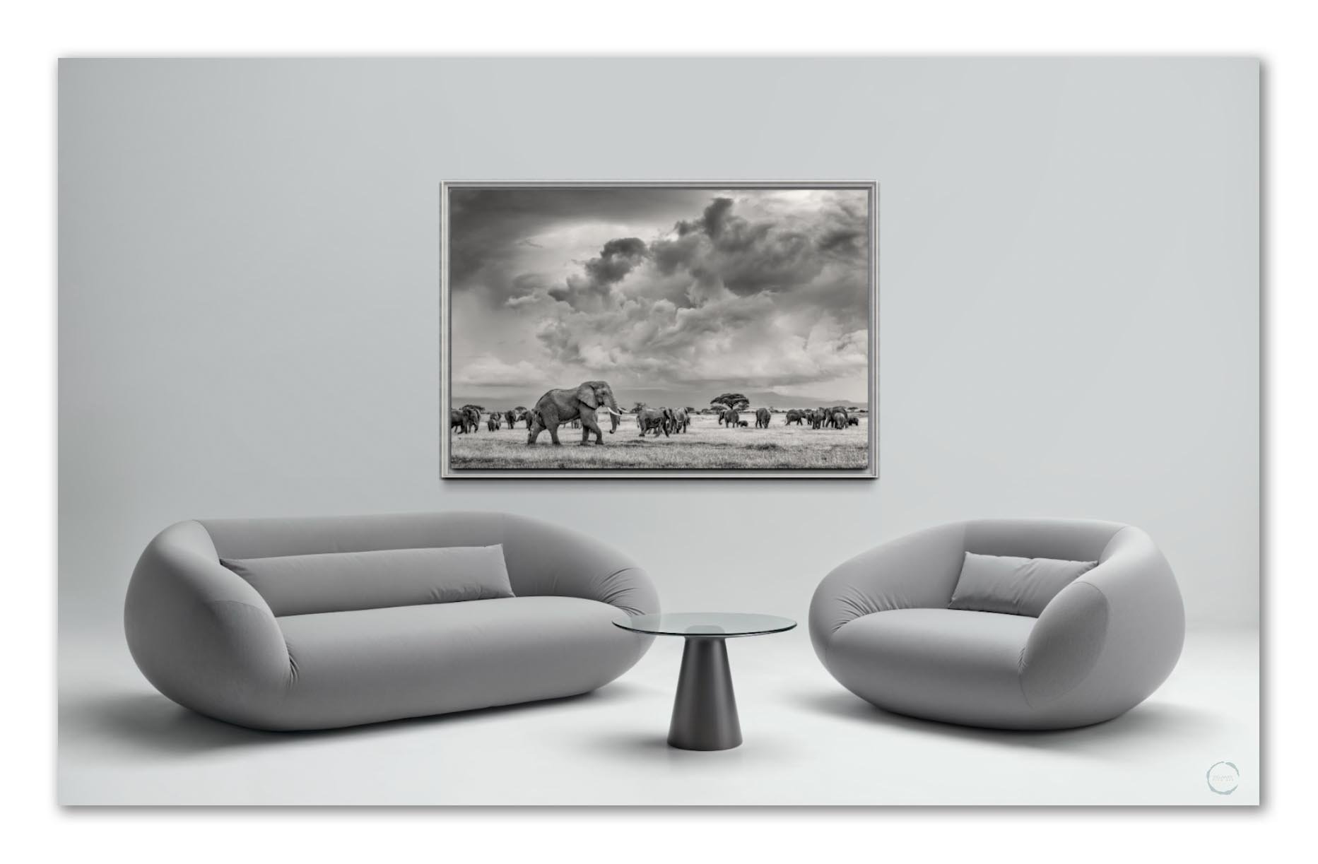 Young Tusker Storm2.jpg