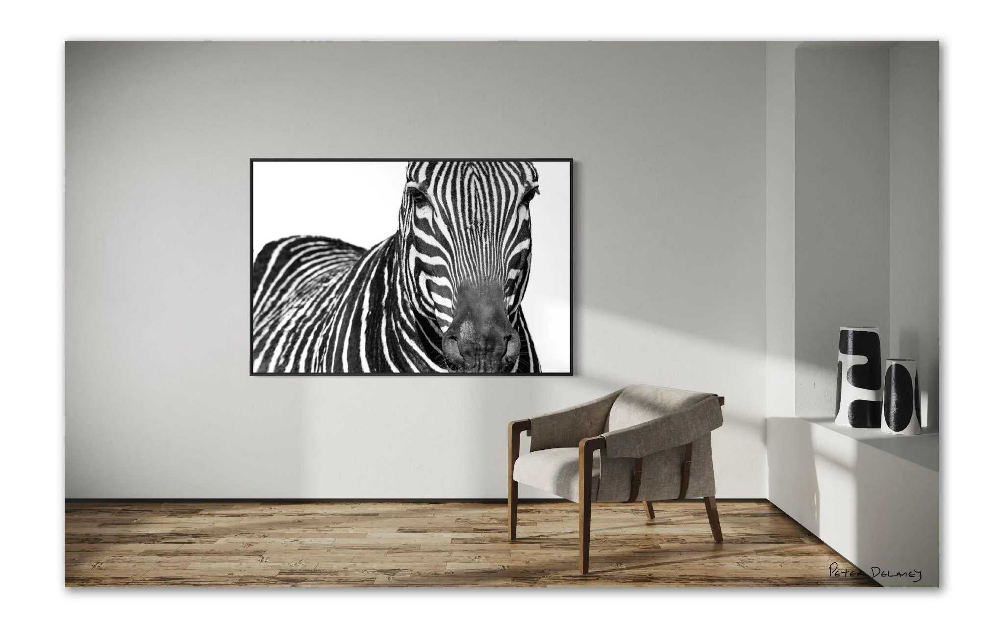 zebra-2.jpg