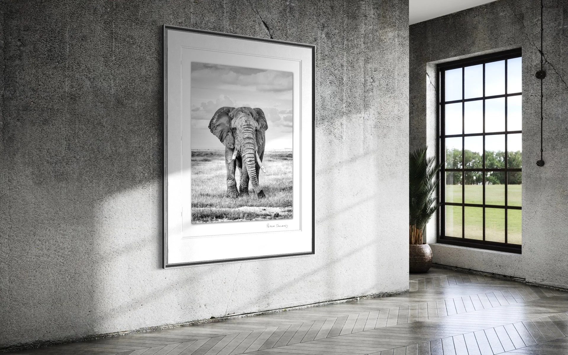 old tusker-frame-1.jpg