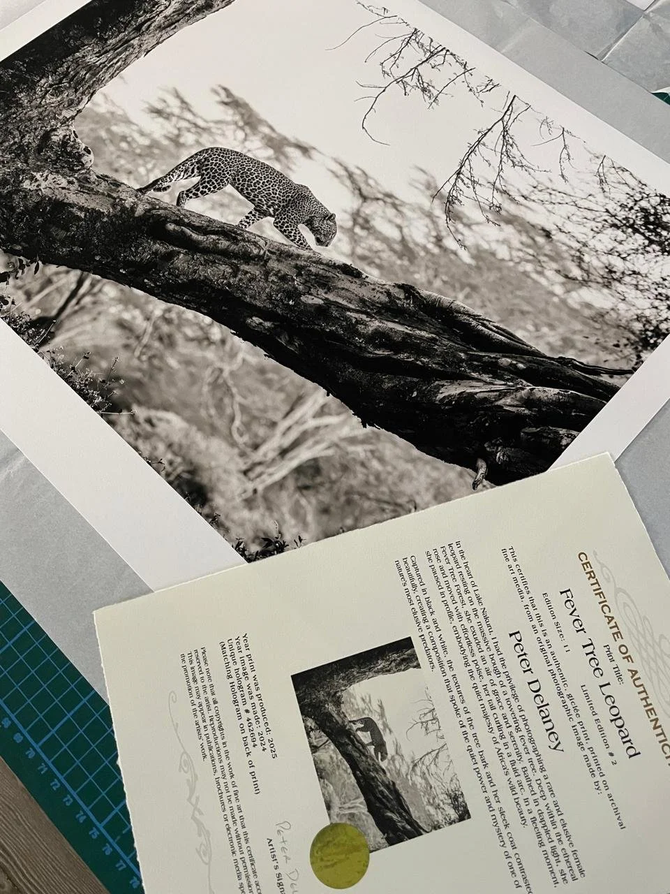 Certificate of authenticity for the Fever Tree Leopard limited edition fine art print — Peter Delaney Photography, edition of 11