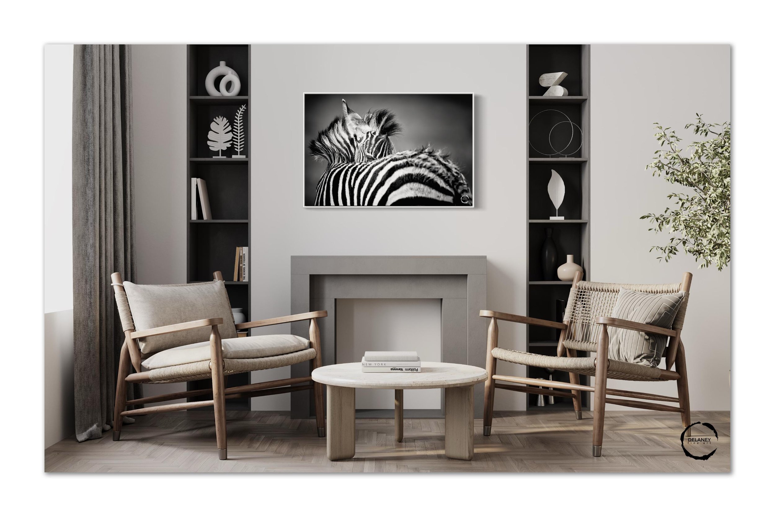 Zebra foal-4.jpg