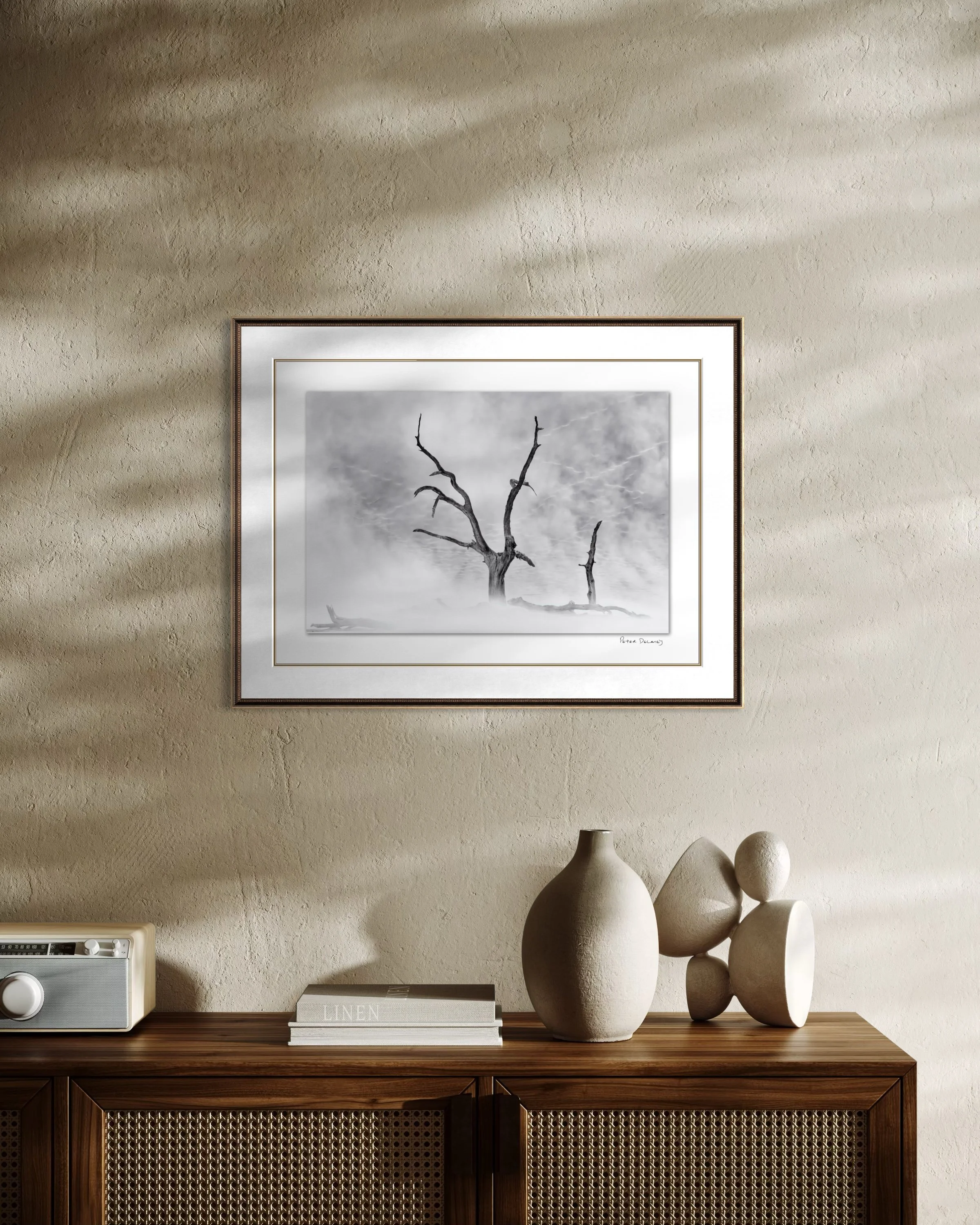 deadvlei-frame.jpg