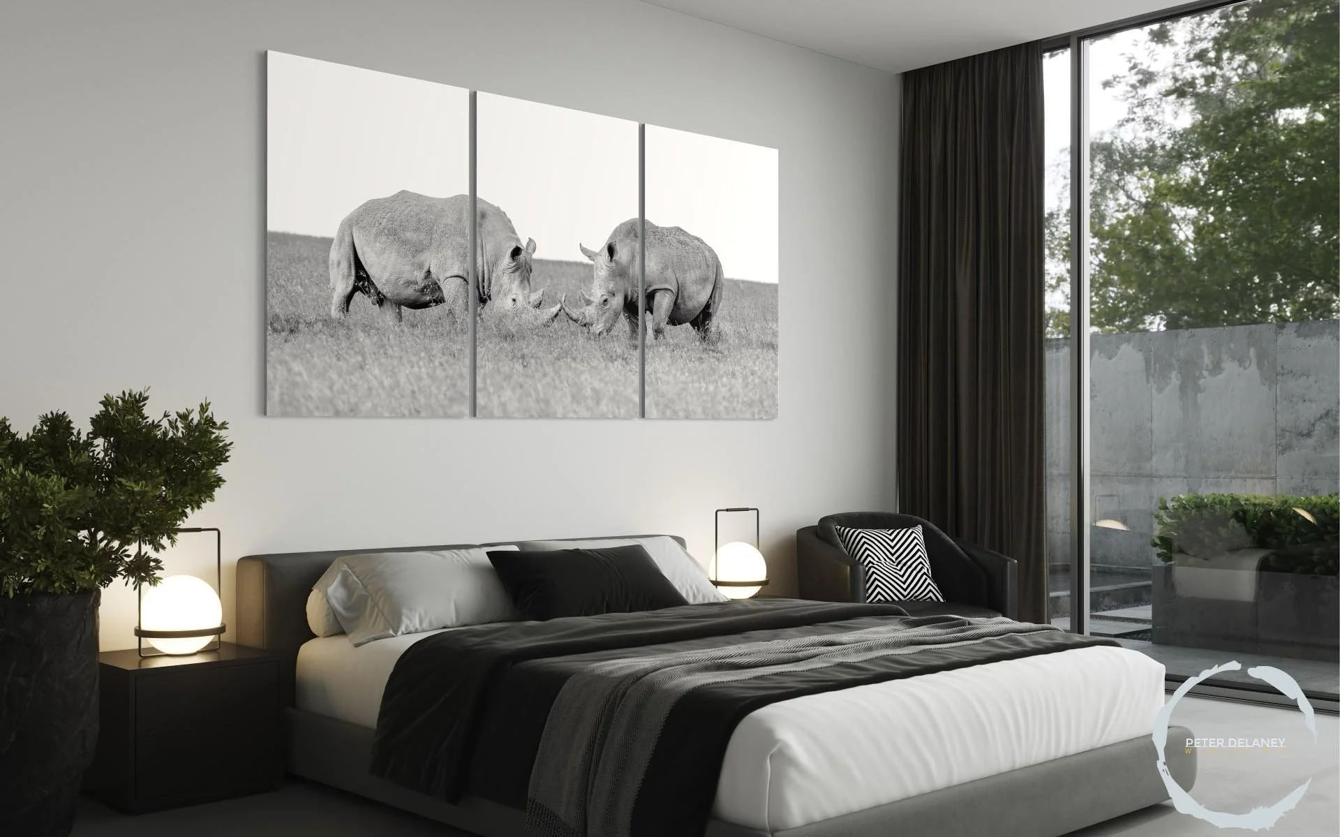 White rhinos-6.jpg