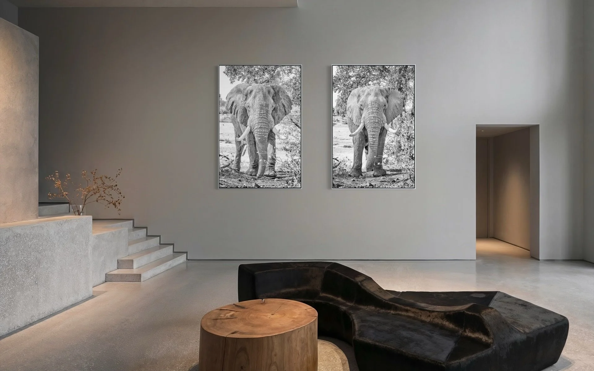 Emerging tusker elephants in dry riverbed black and white fine art print by Peter Delaney