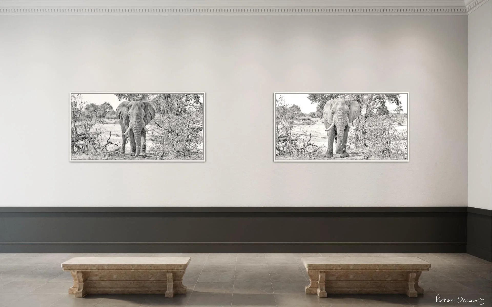 Tuskers-kruger-dark-light-3.jpg