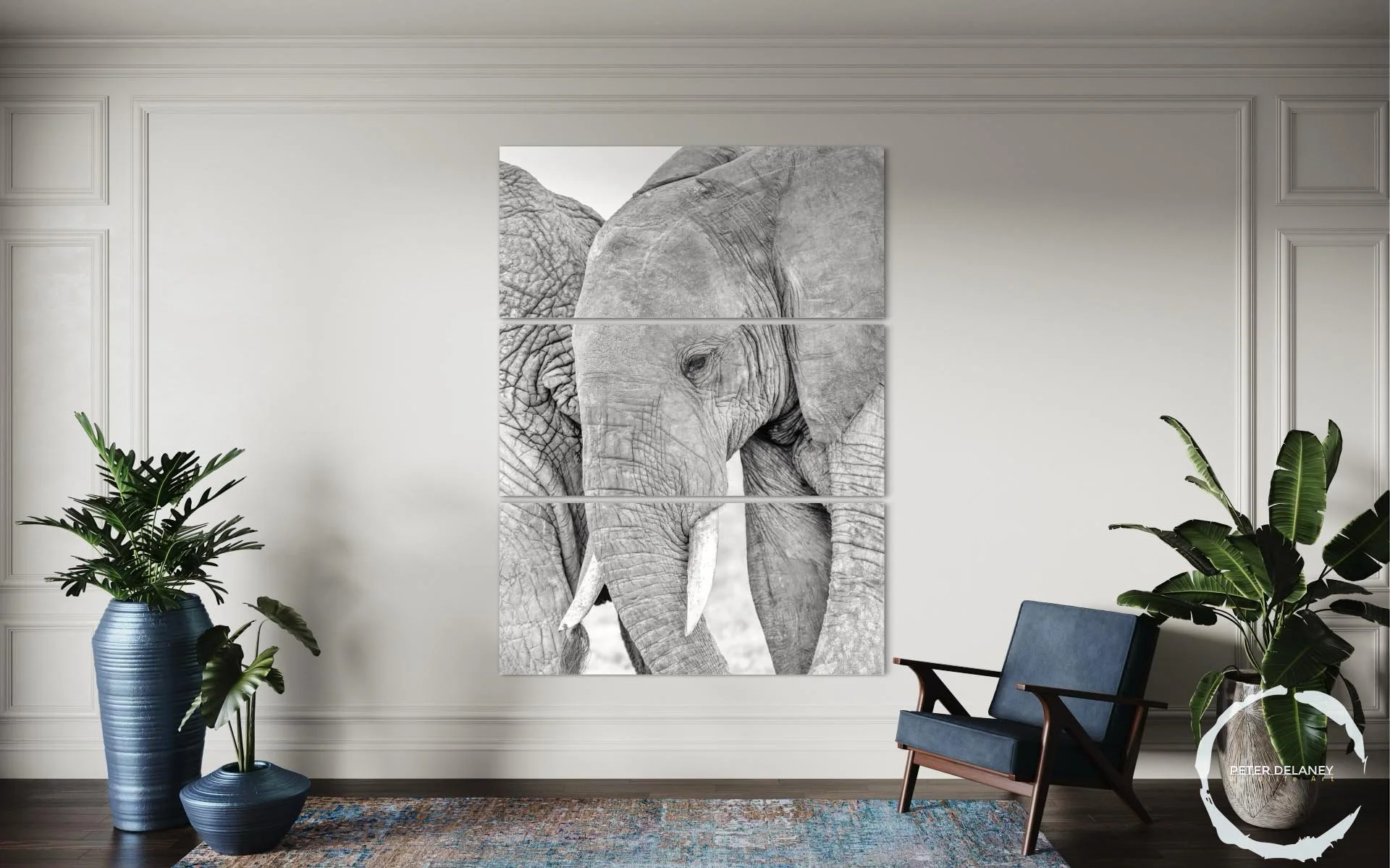 elephant-tender meoments.jpg