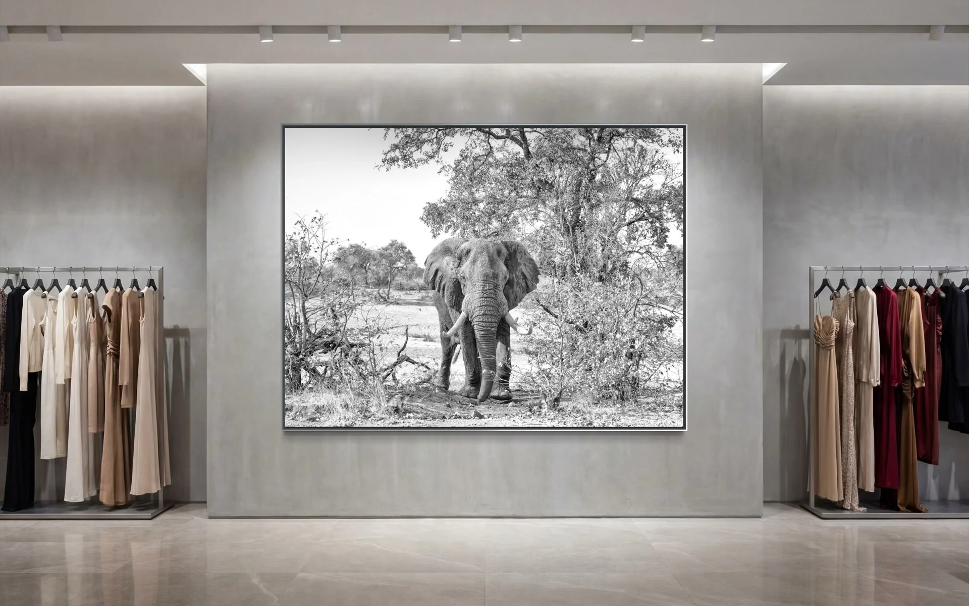 tusker-kruger-master-1.jpg