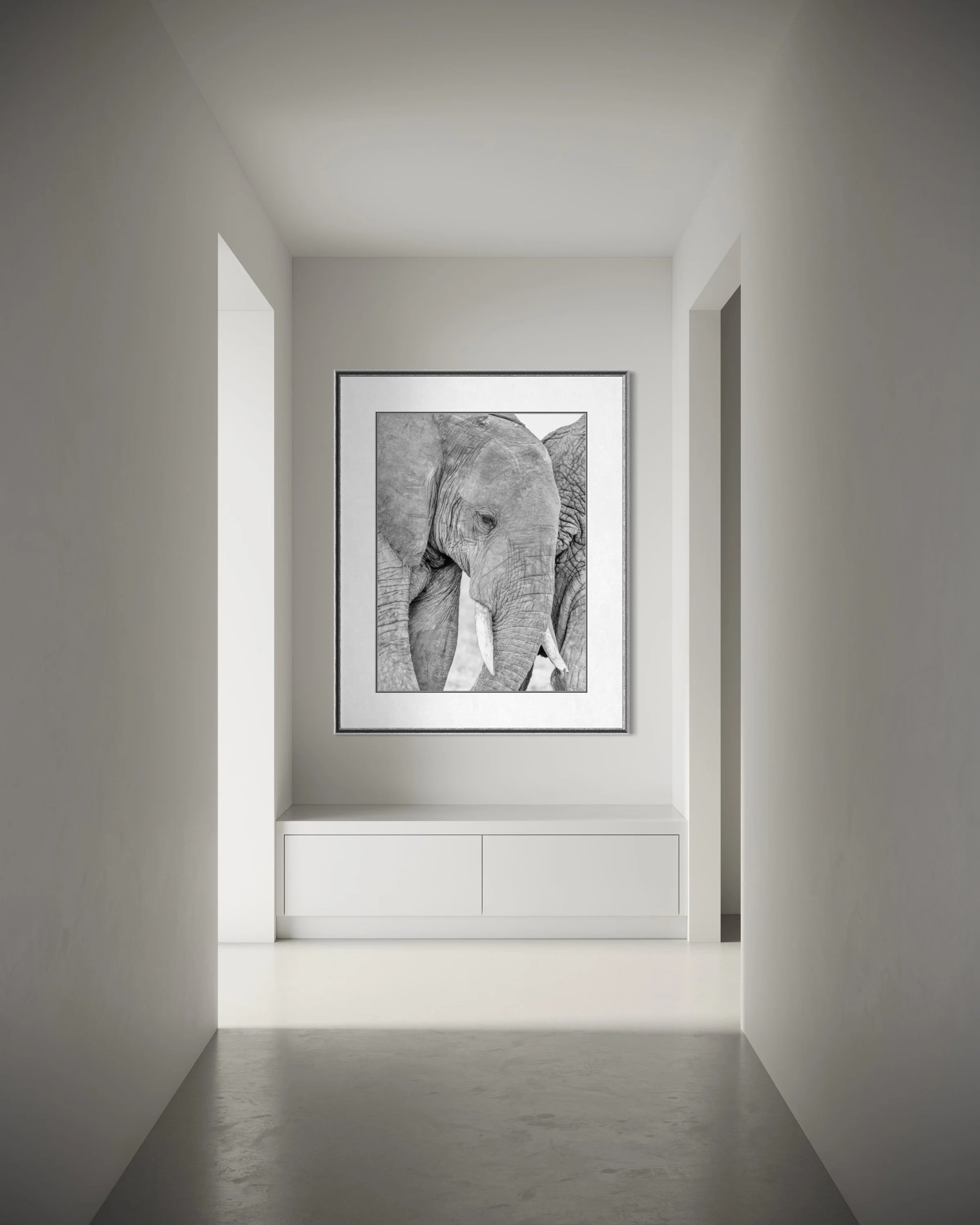 tender-framed-3.jpg
