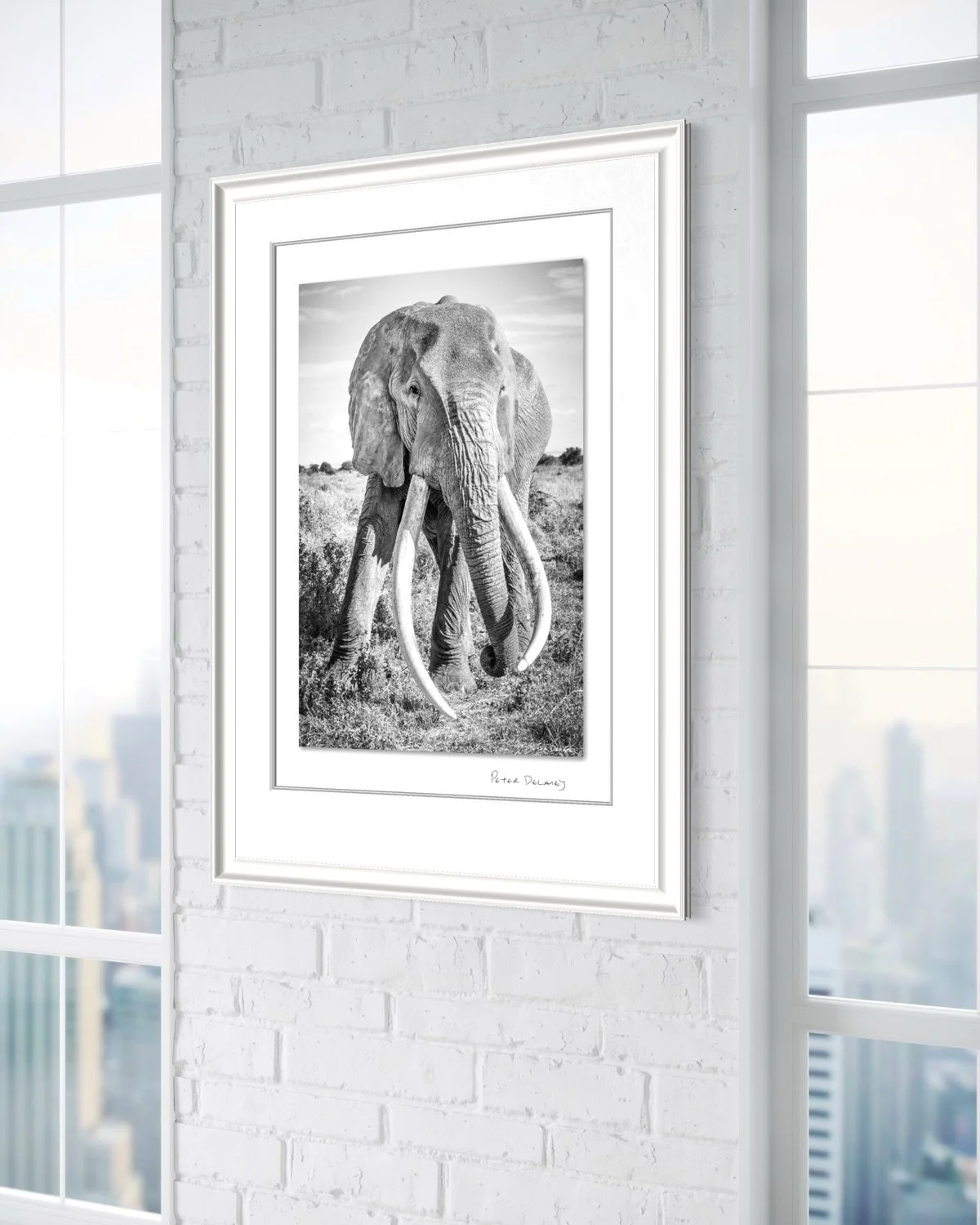 craig-framed-3.jpg (Copy)