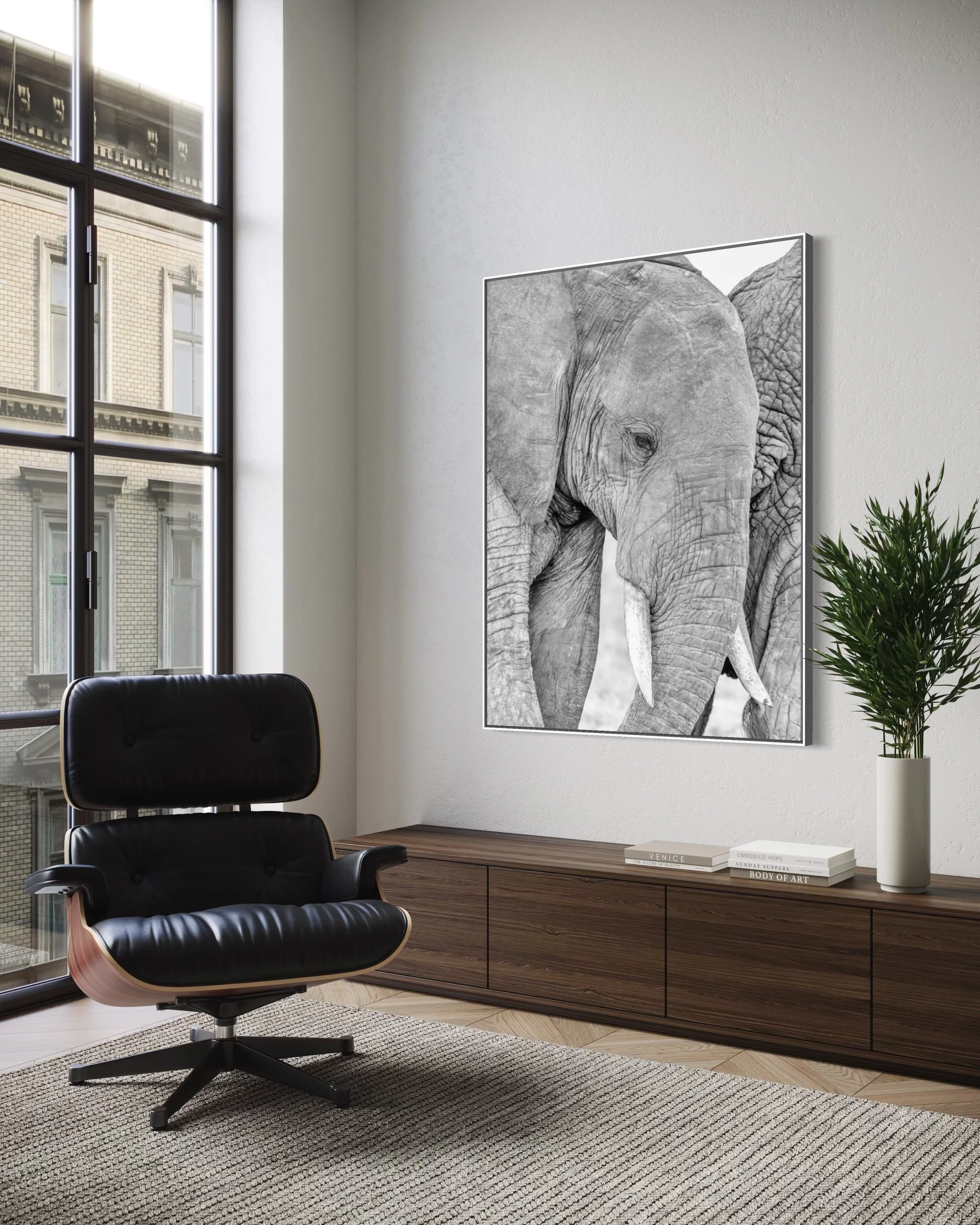 elephant-tender-moments-.jpg