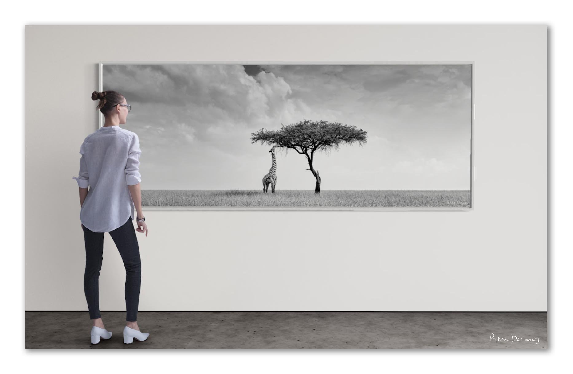 Pano-cine-wide9.jpg