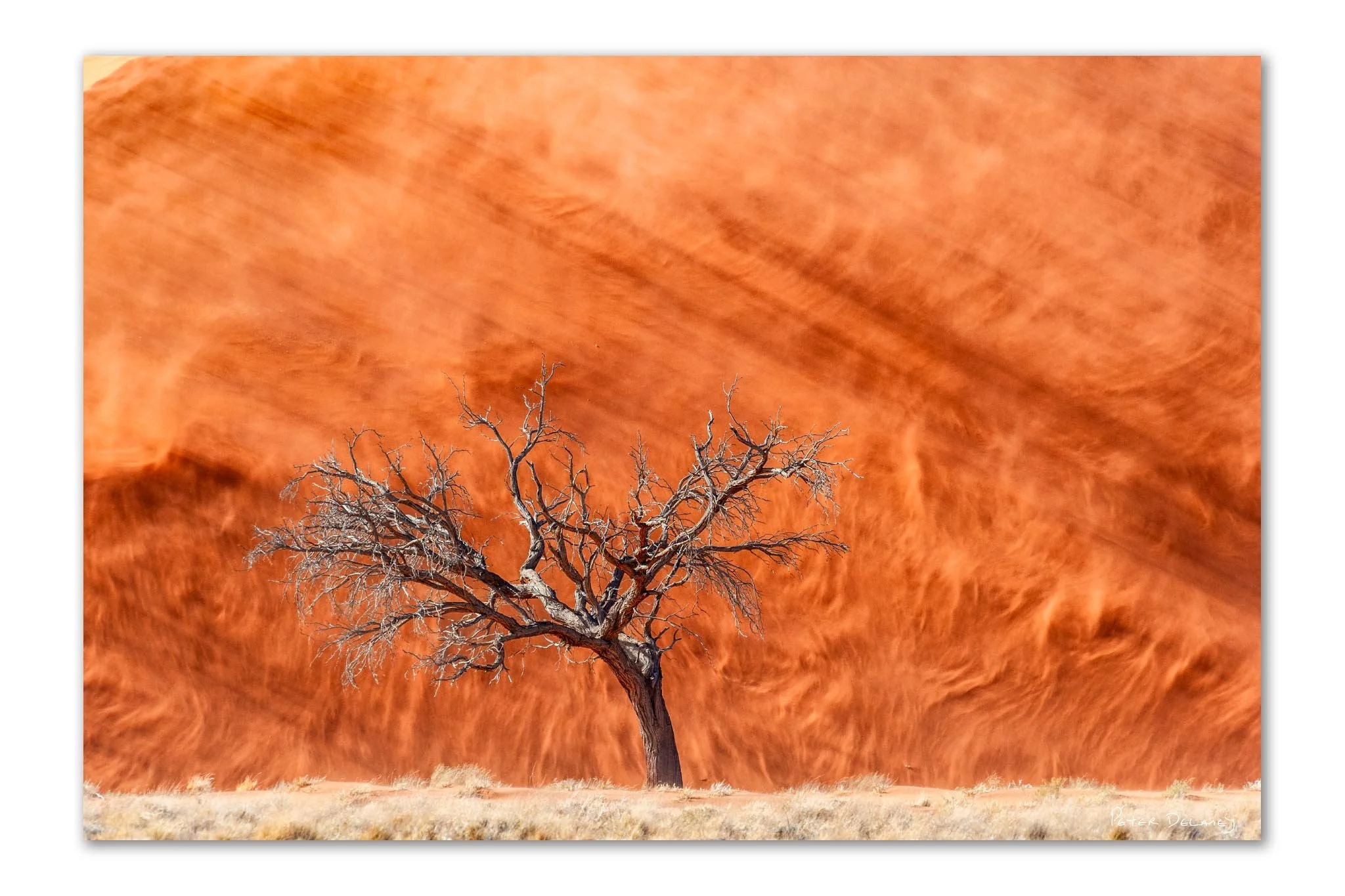 Color photograph of Dune 45, Namibia, during a late afternoon sandstorm. Flowing red and gold sand with a lone photographer emphasizes the desert’s scale and energy."