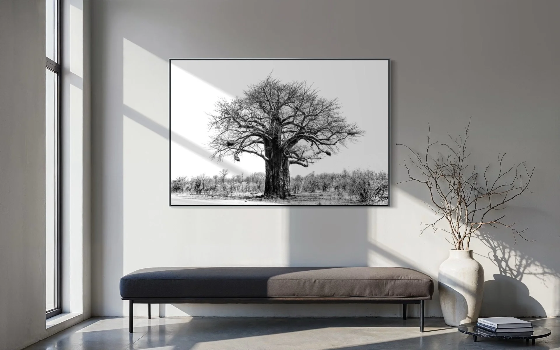 baobab-2.jpg