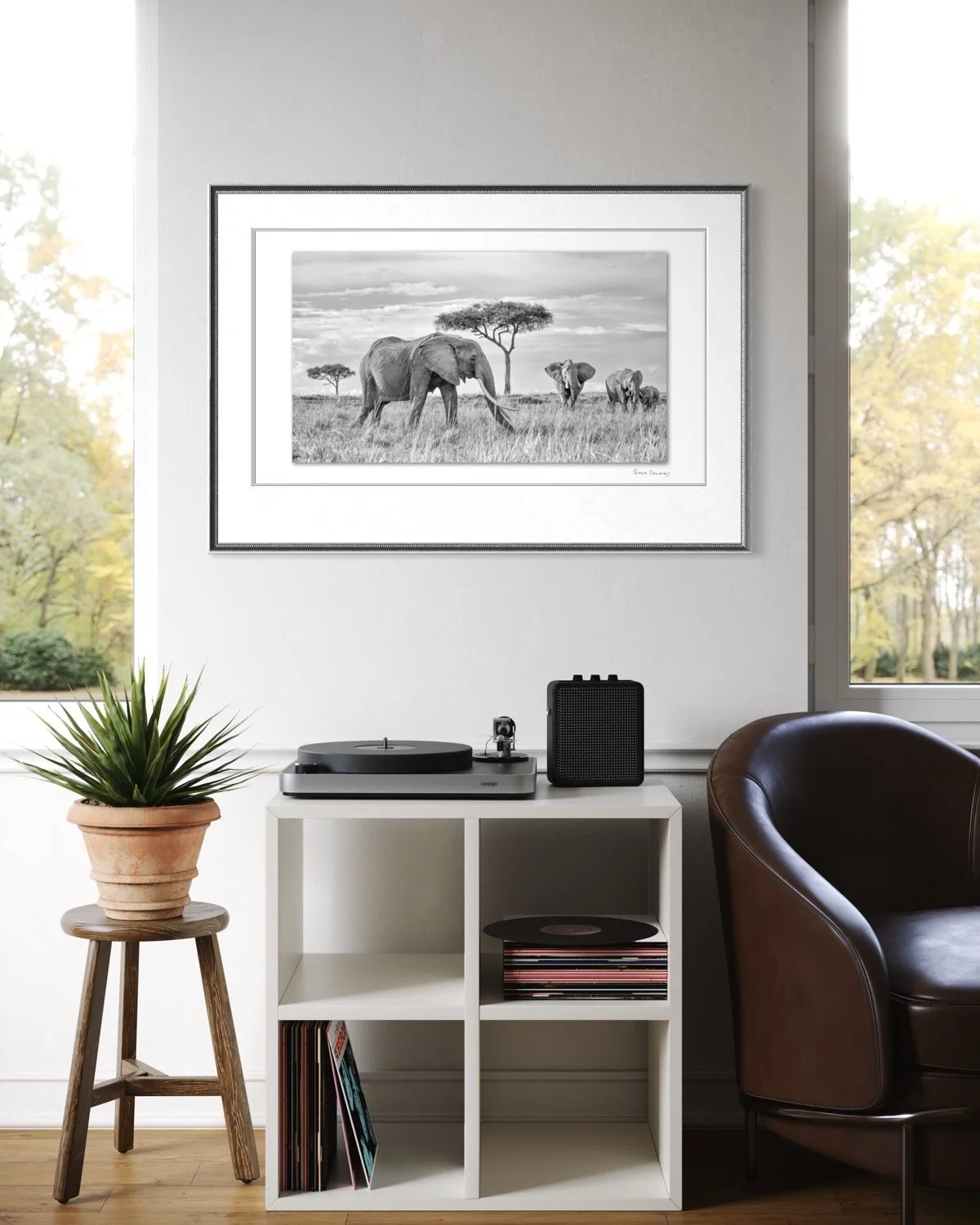 queen elephant.jpg