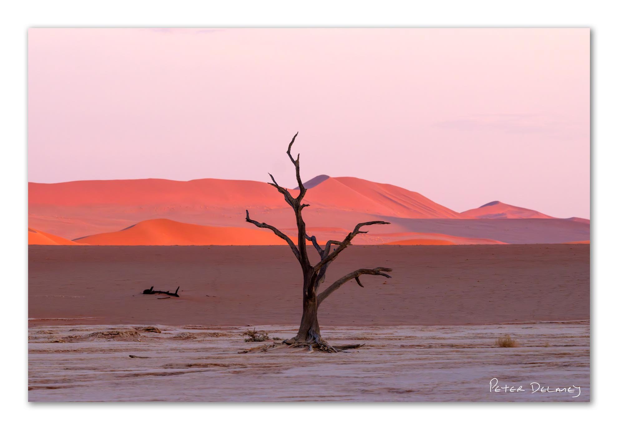 Deadvlei Reflection Of Inner Landscape.jpg