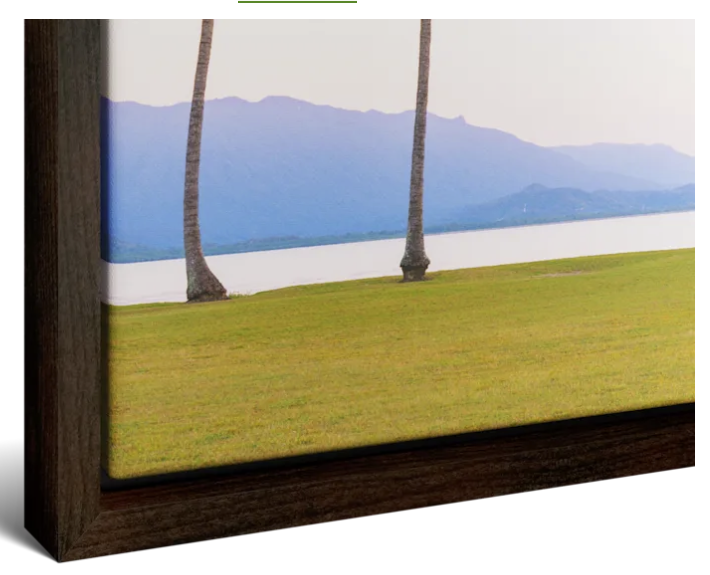 Canvas Fllaoter Frame2.png (Copy)