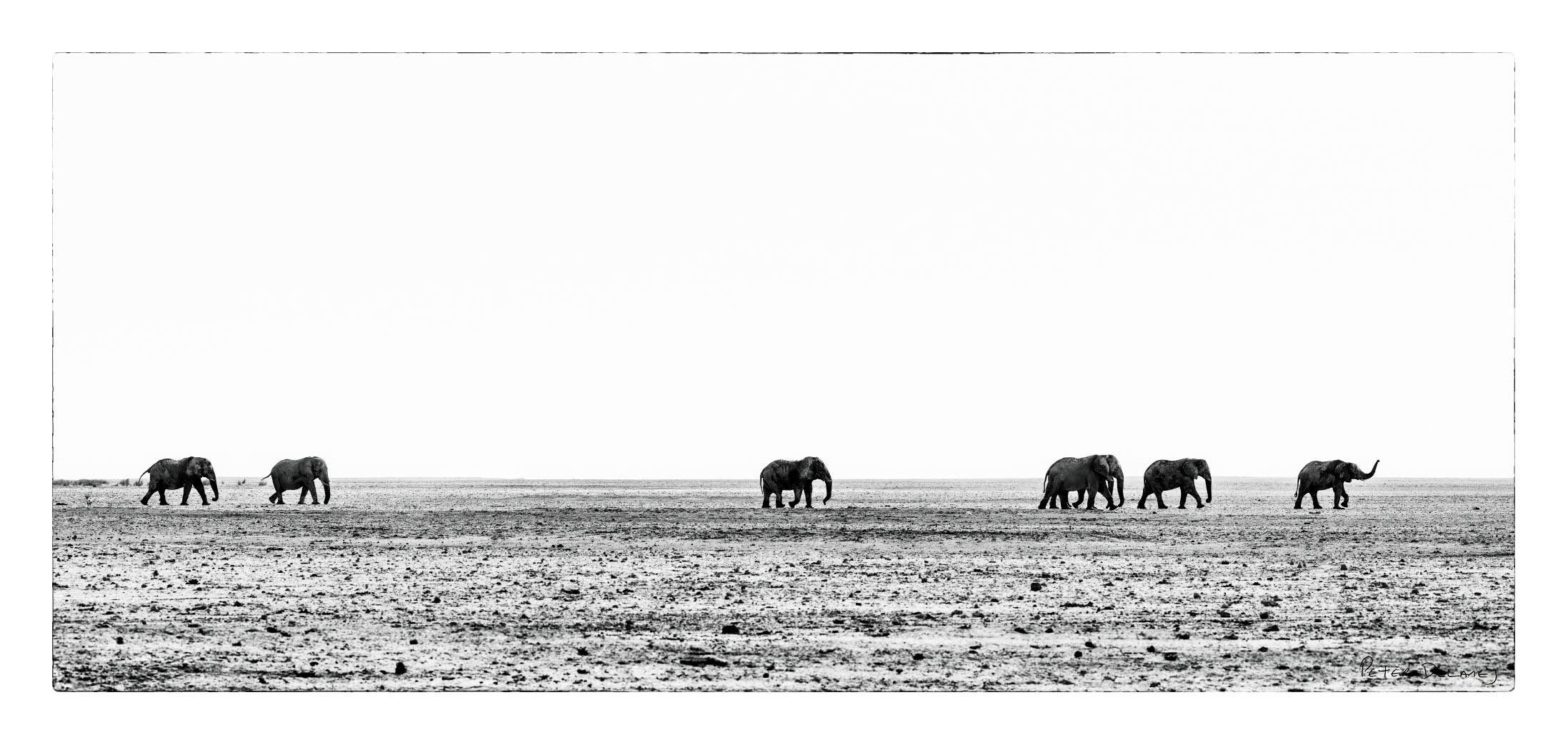 Greay Ghost Trek Etosha Pan Border.jpg