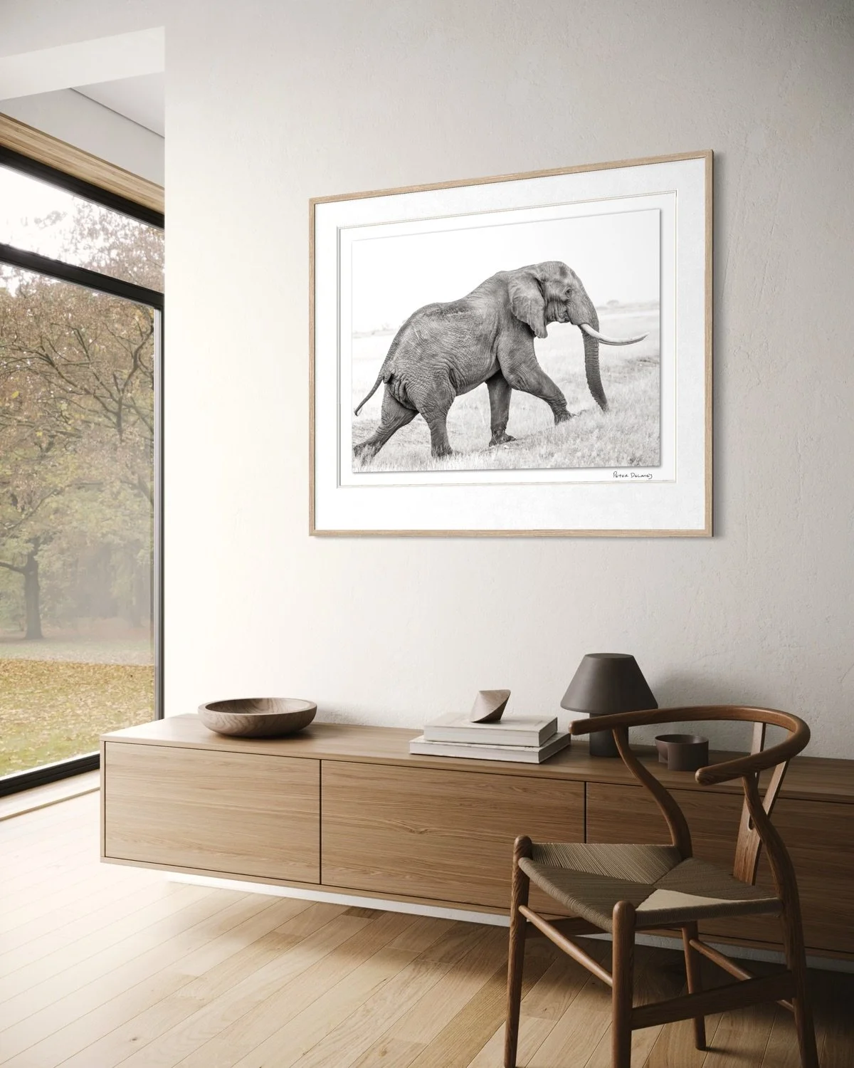 young tusker-6.jpg