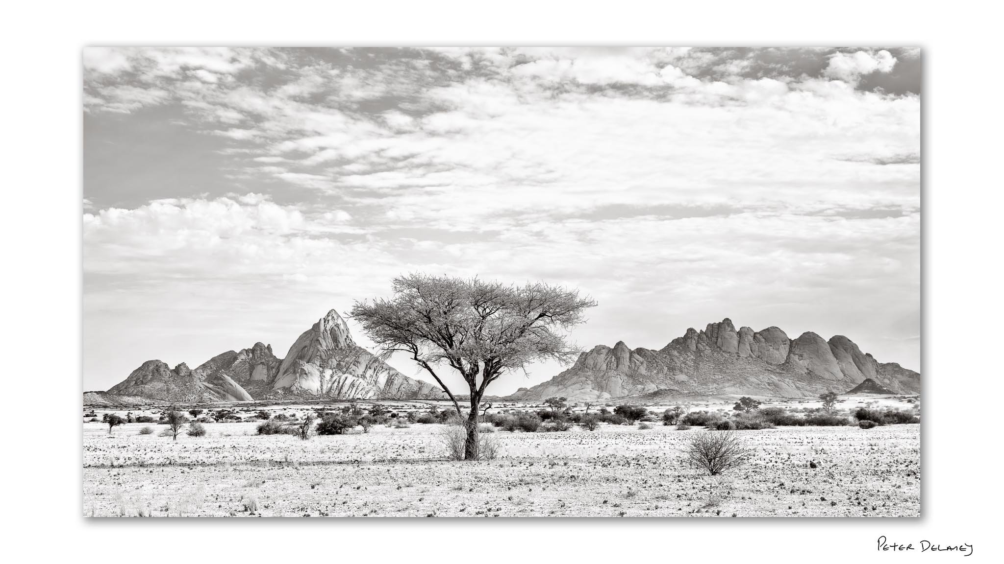 Black and white panoramic photograph of Spitzkoppe in Namibia with a lone camel thorn tree framed by the granite mountain range beneath soft clouds.