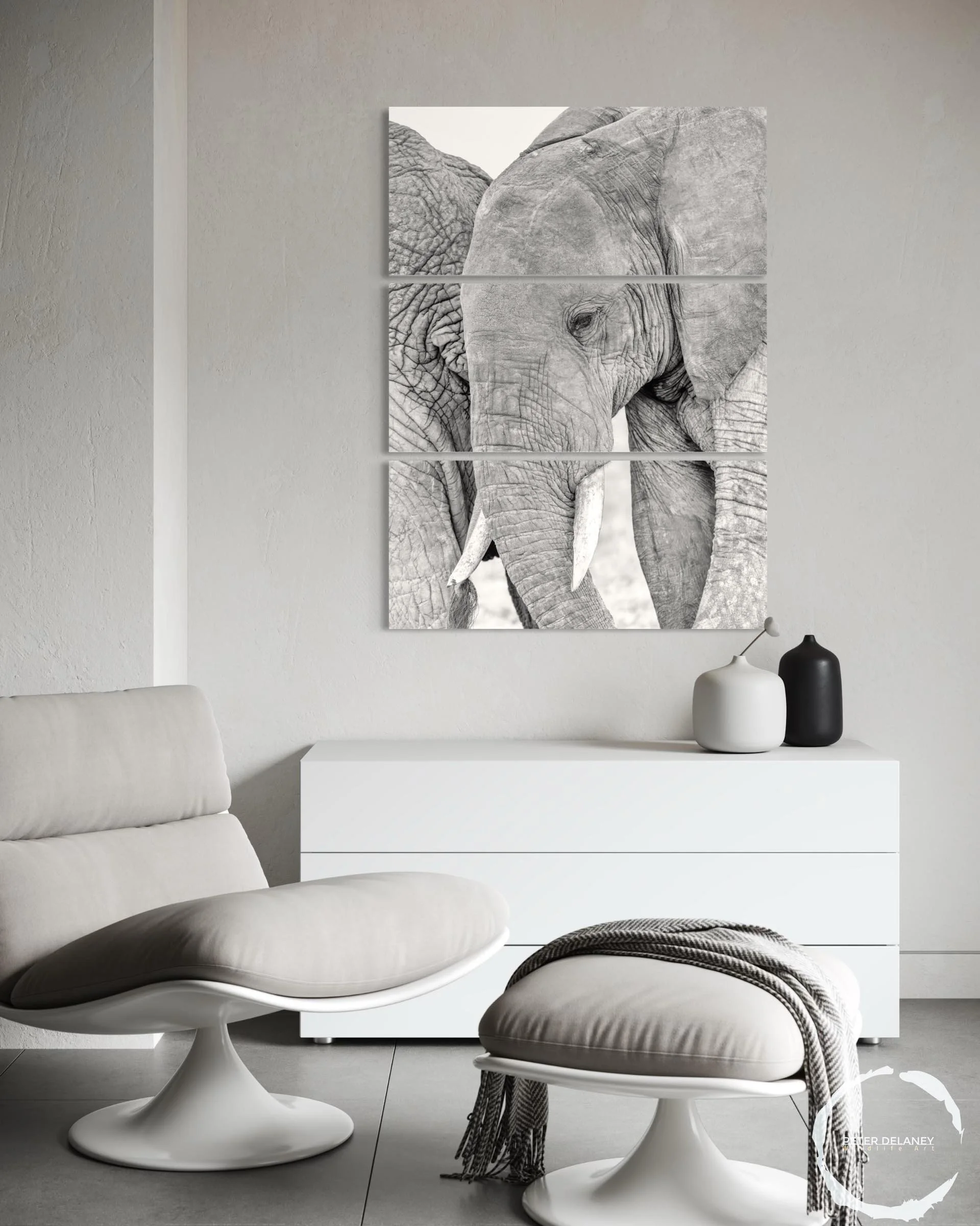elephant-tender-moments-4.jpg