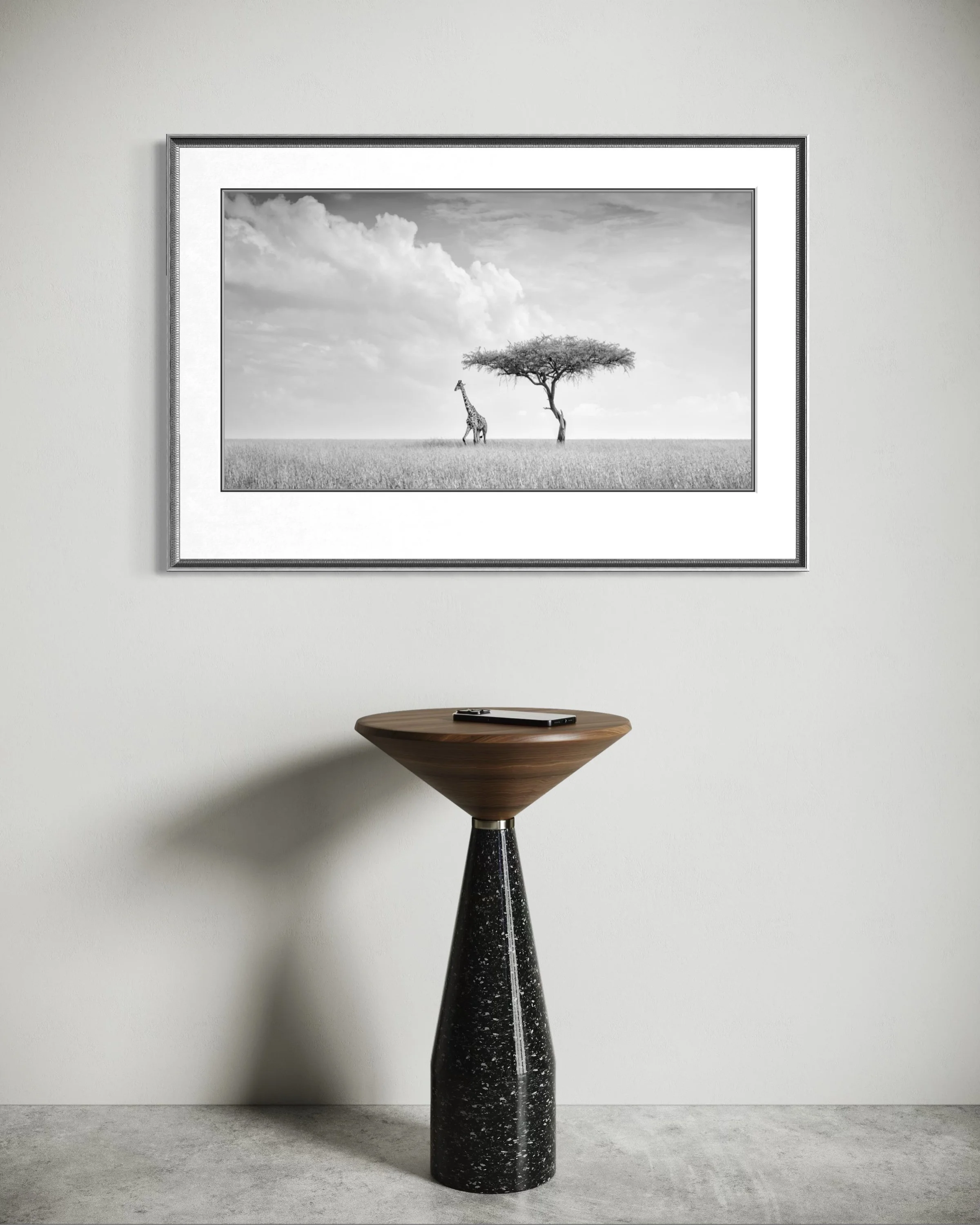 Journey-camelopard-framed.jpg