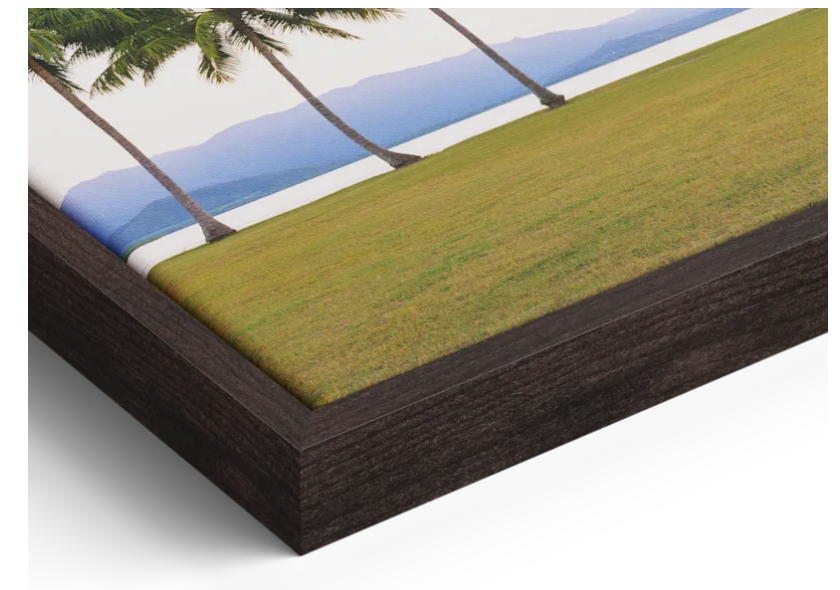 Canvas Fllaoter Frame3.png (Copy)