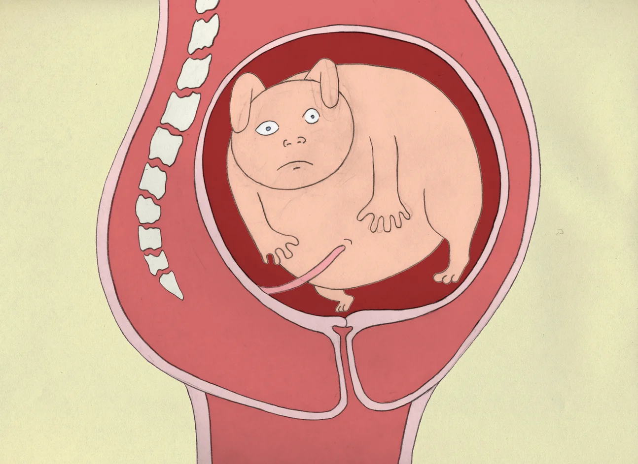 Still from "Birth"