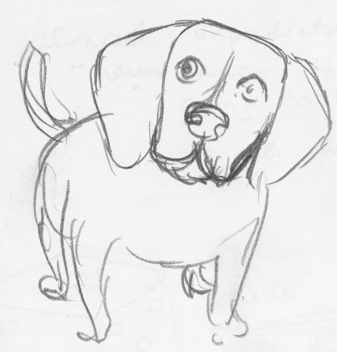 Beagle sketch