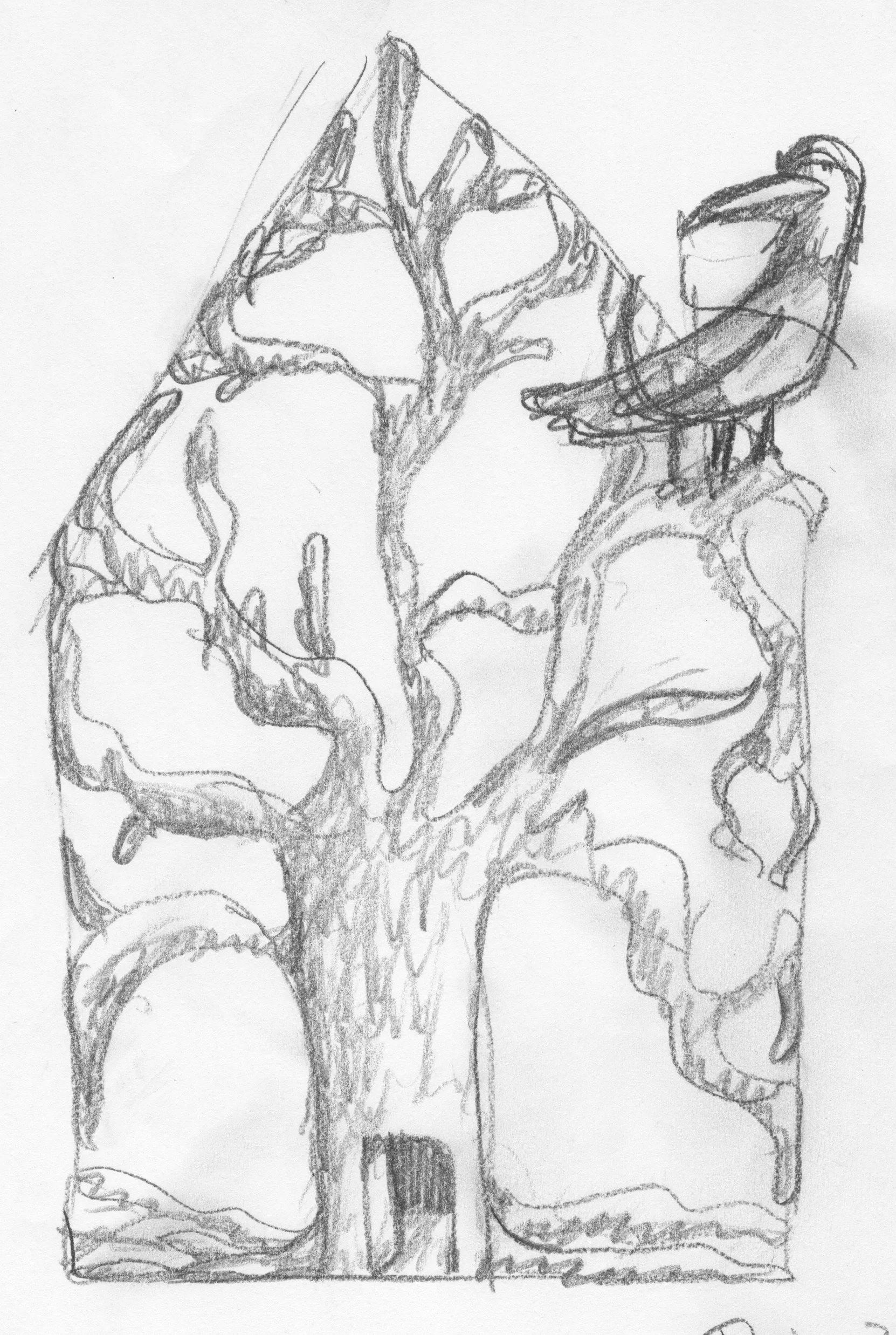 - It is my tree, my home. Leave it alone.