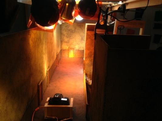 Orange light was our choice for Zelma's fantasy moment (check out the gels on top)