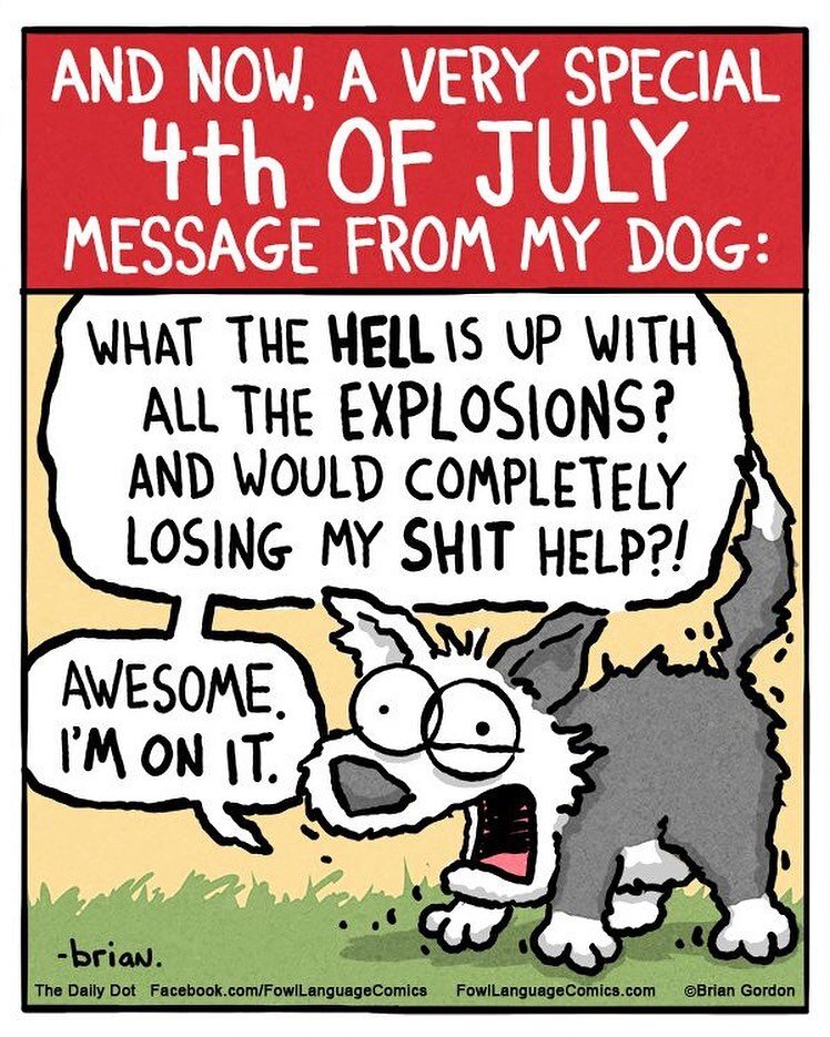 Happy fourth, everyone! Keep those pups safe and indoors this weekend. Stay safe and have fun 🎇🎇🎇