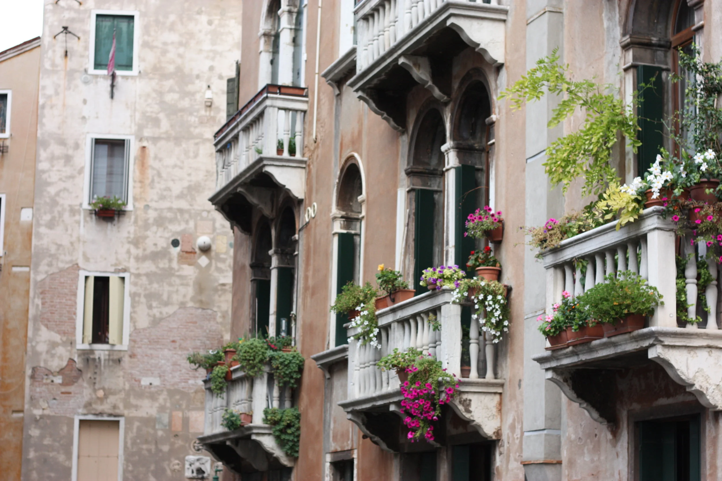 Buongiorno Venezia