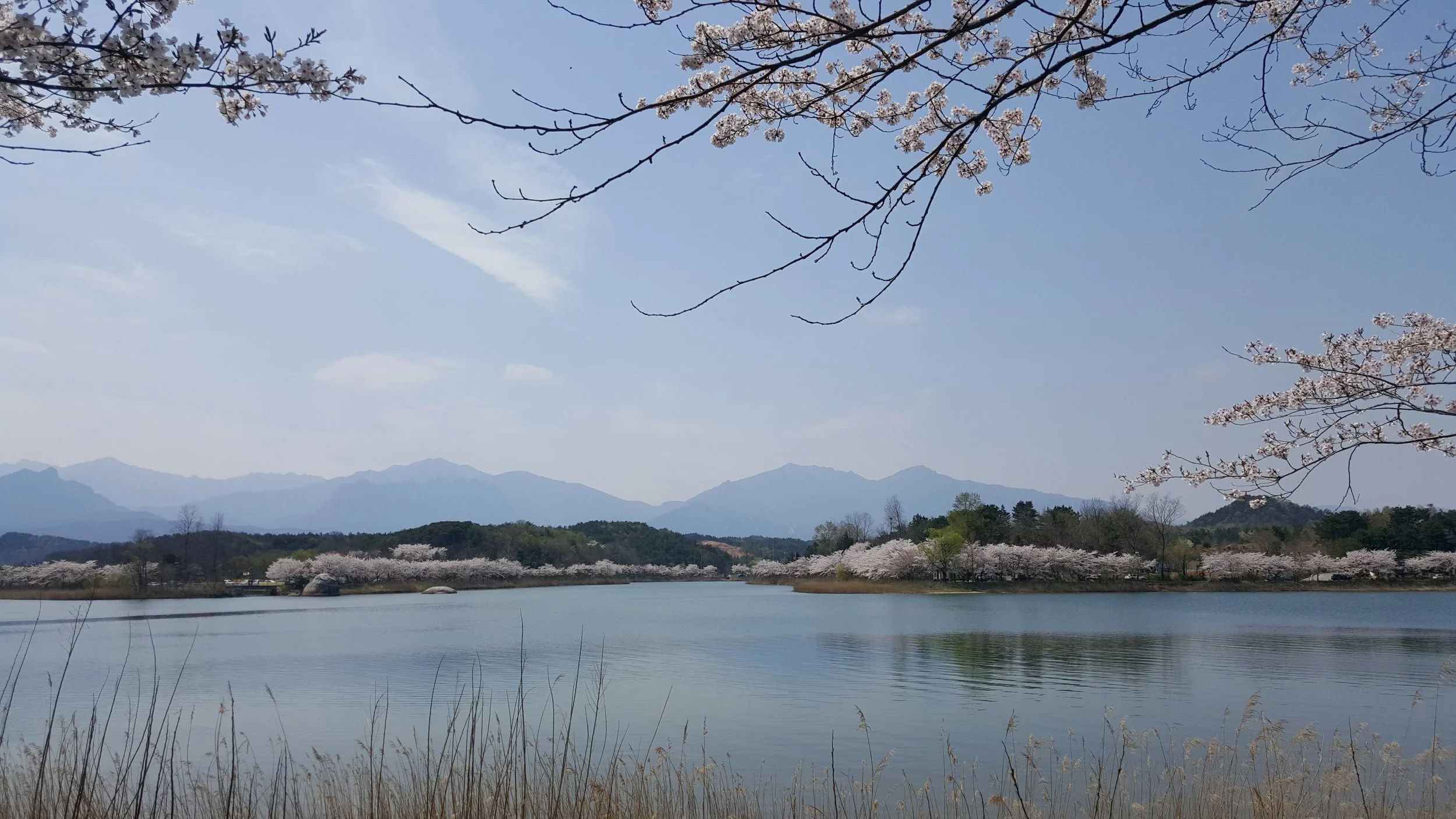 20170409_132012.jpg