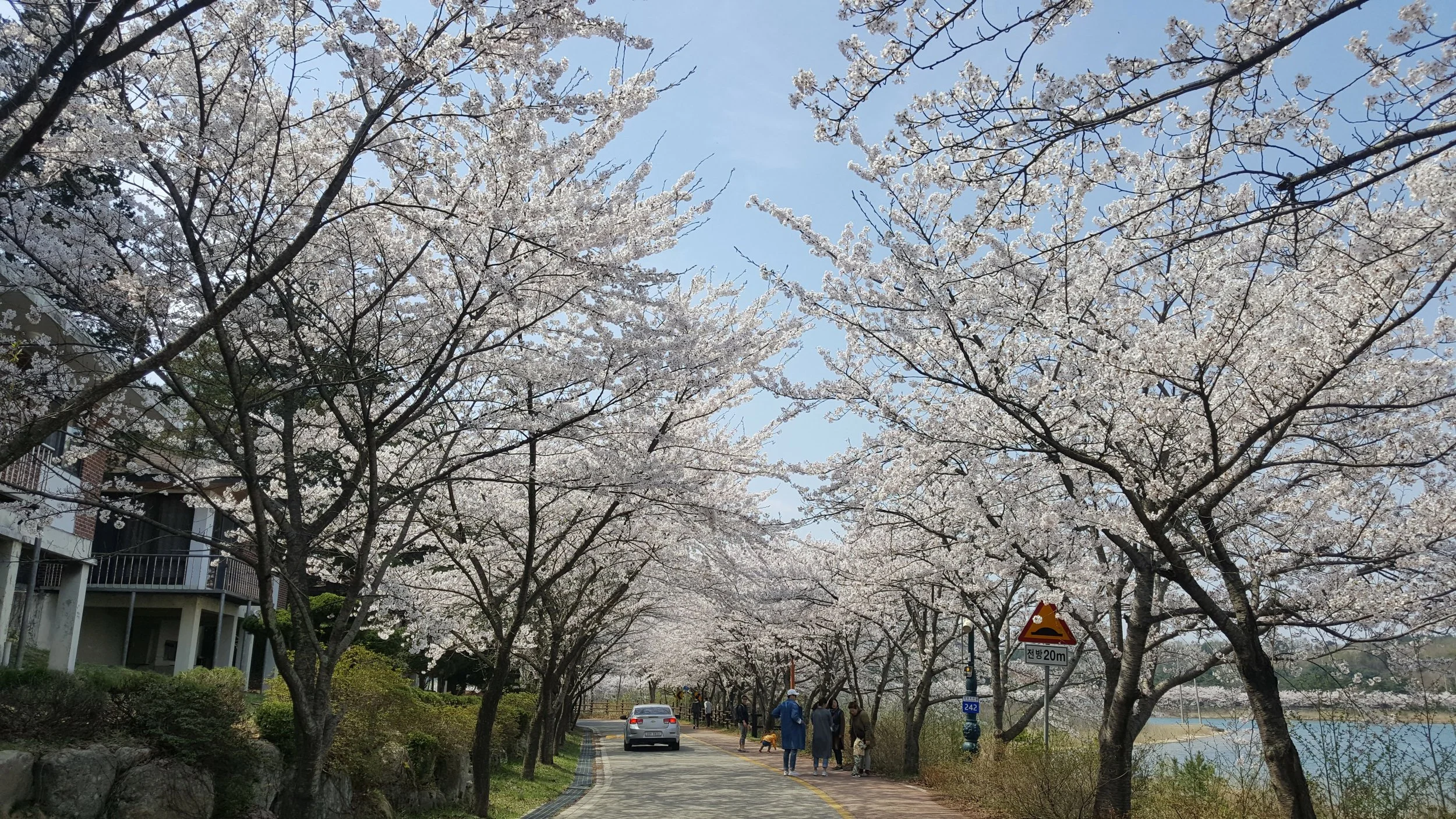 20170409_131720.jpg