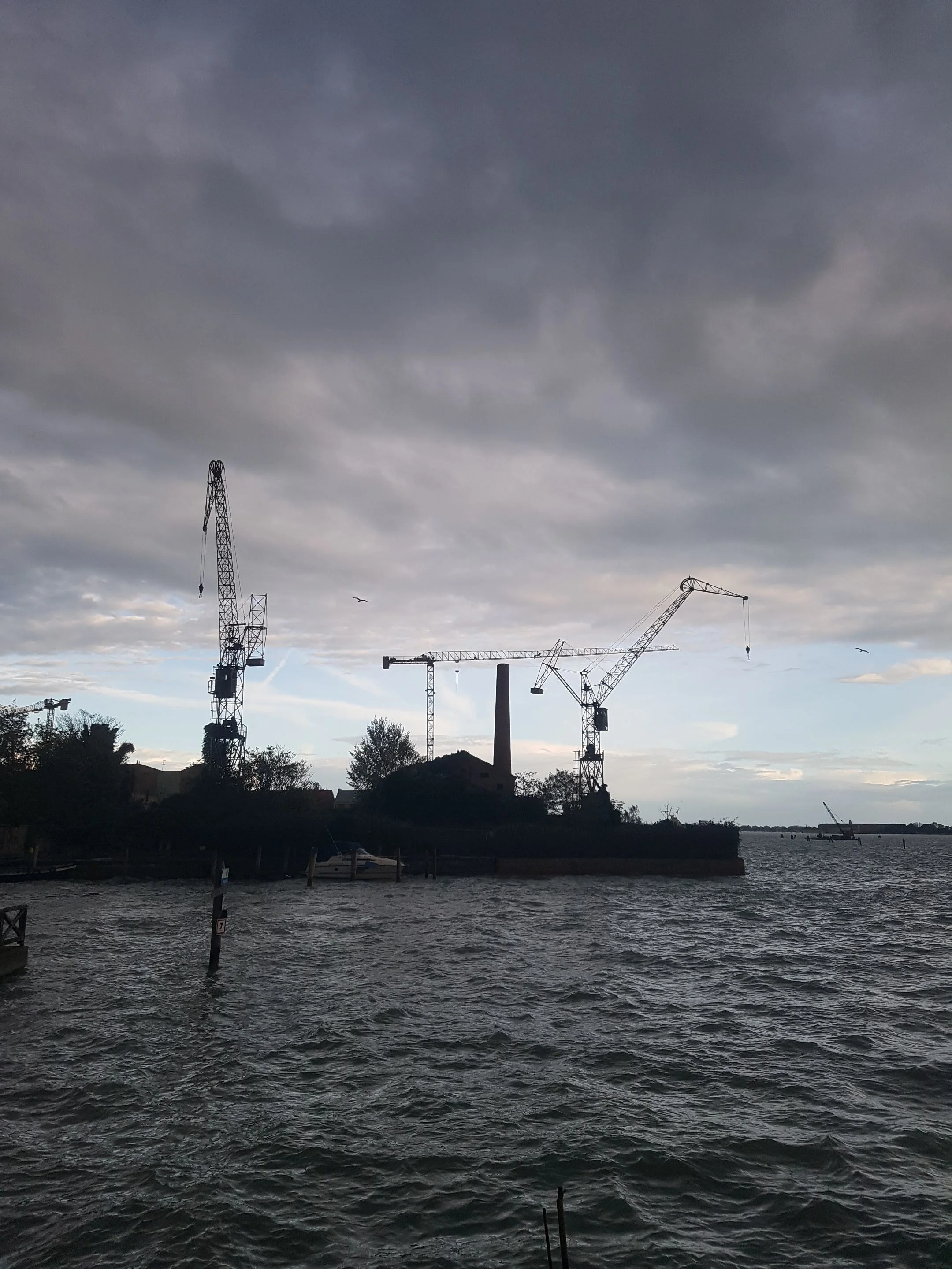 20181030_160014.jpg