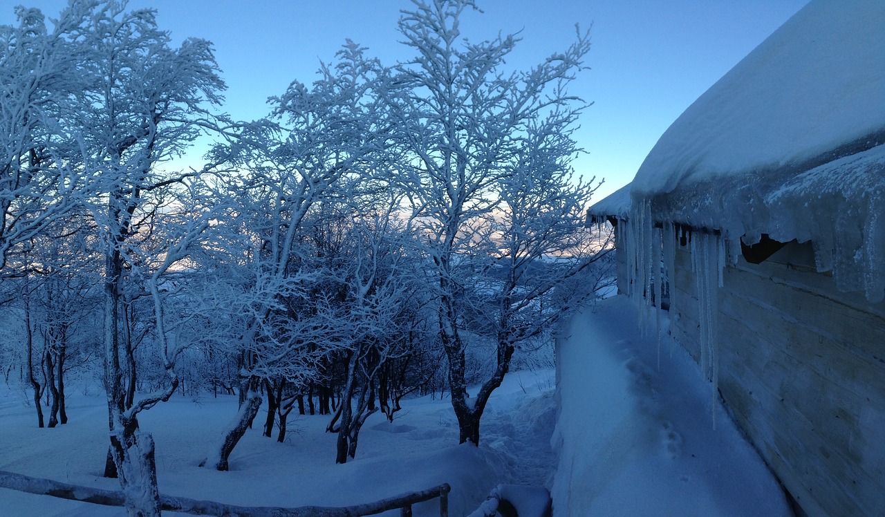 winter.jpg