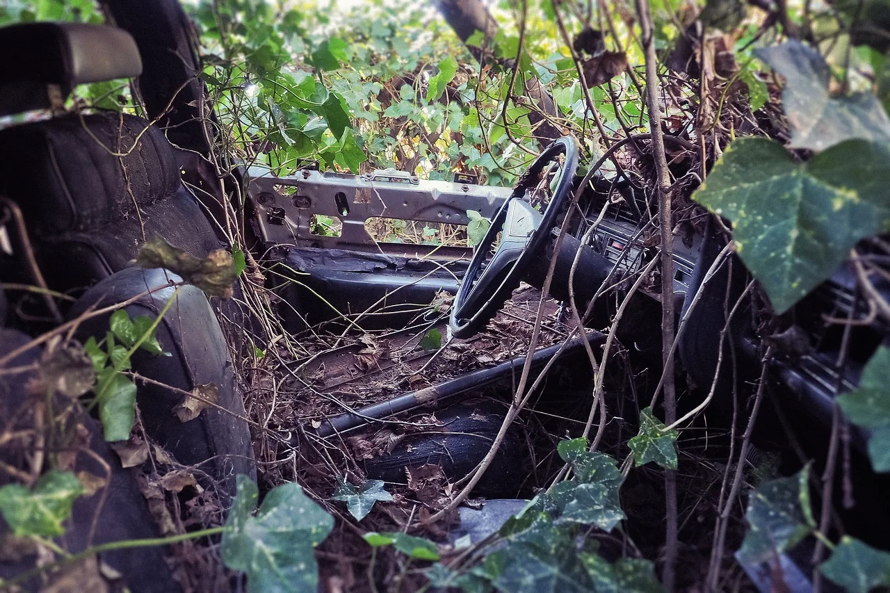 overgrown car.jpg