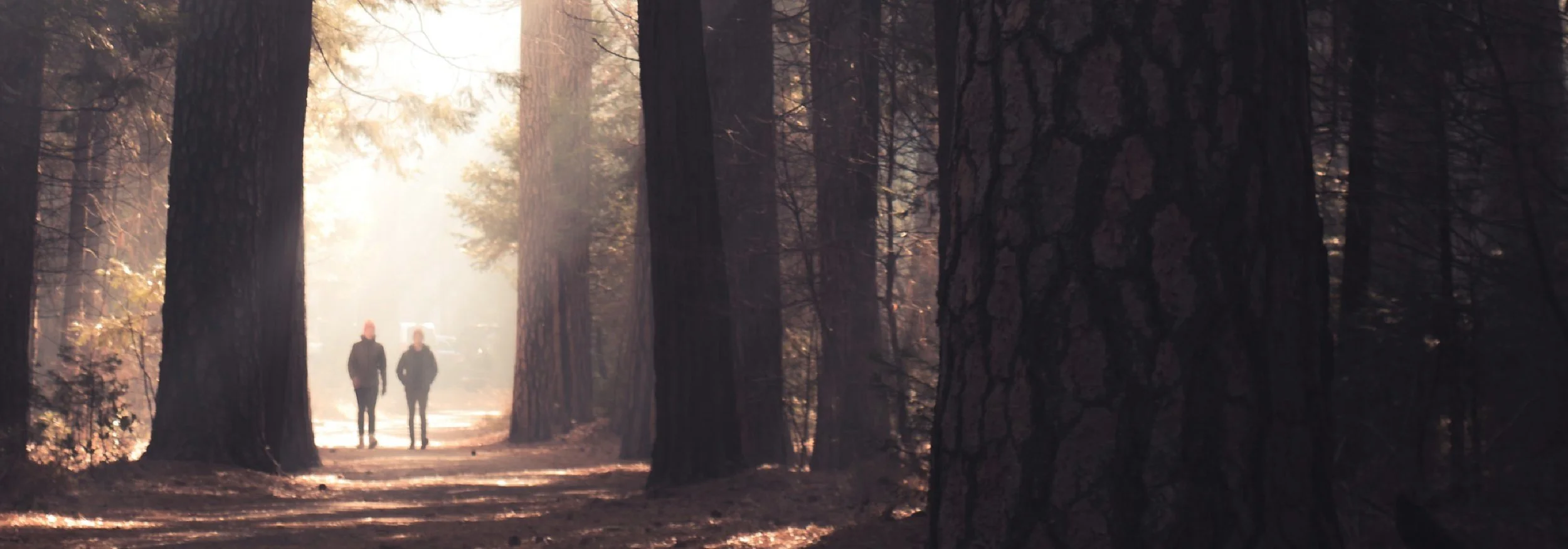 TC_Website_Banner_LifeIns.jpg