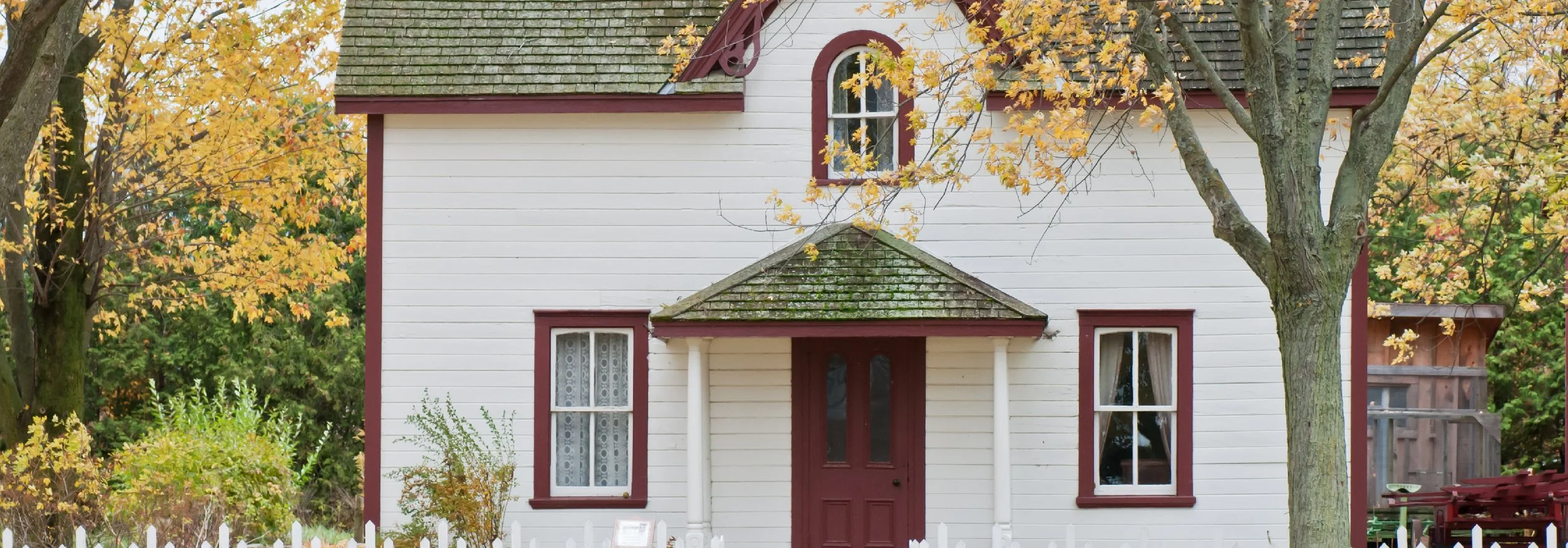TC_Website_Banner_Home1.jpg